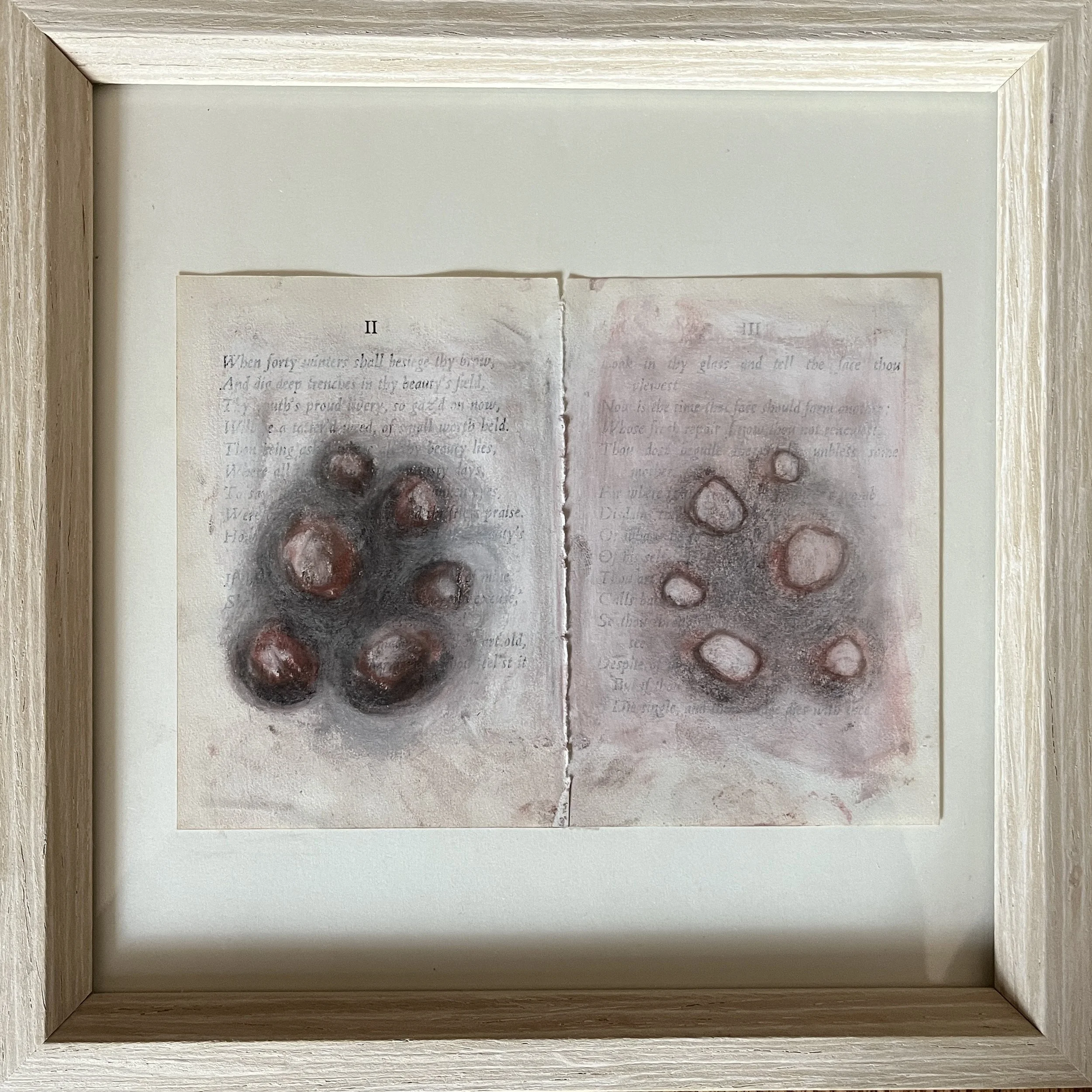 TT23 Camellia Cosgray, Potatoes.JPG