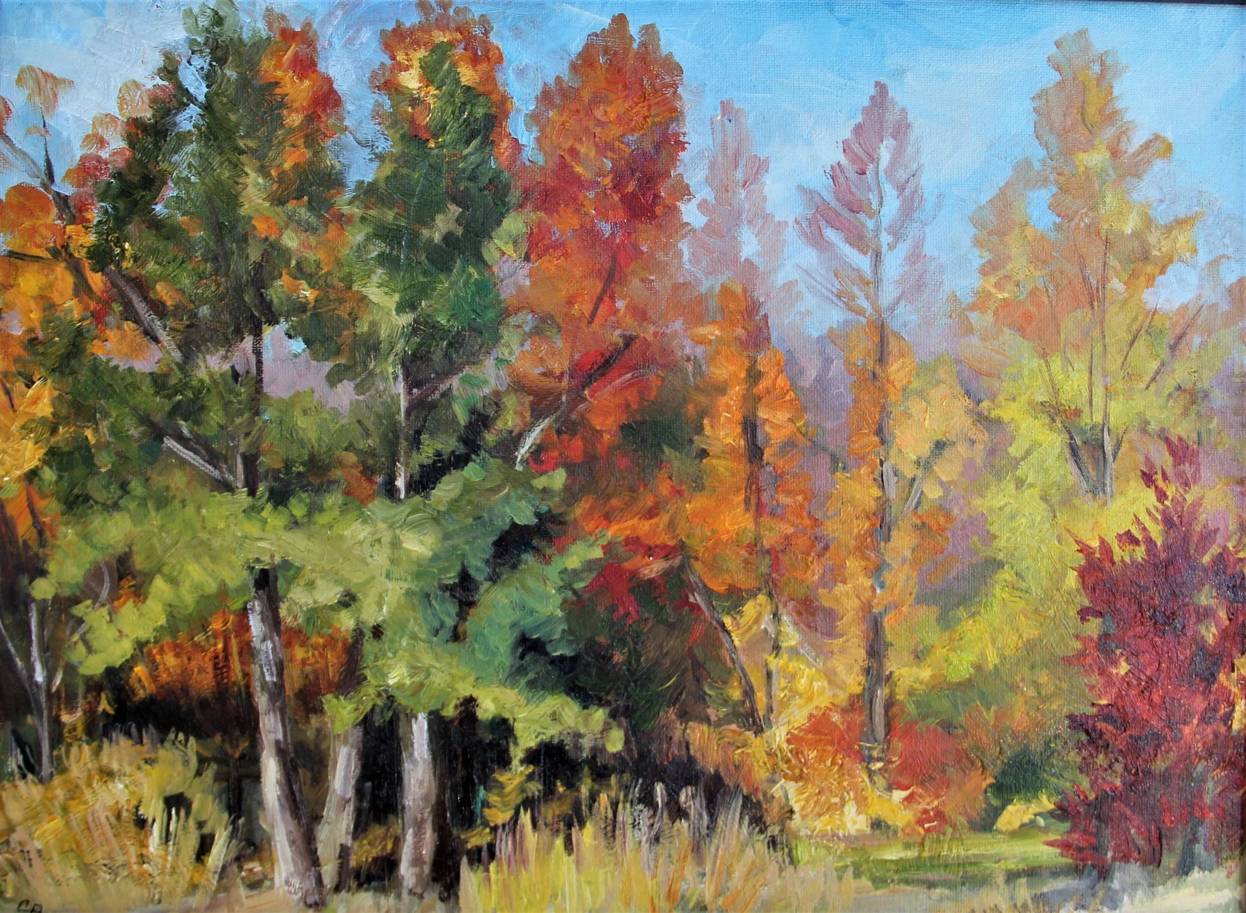 Along the Katy Trail.JPG