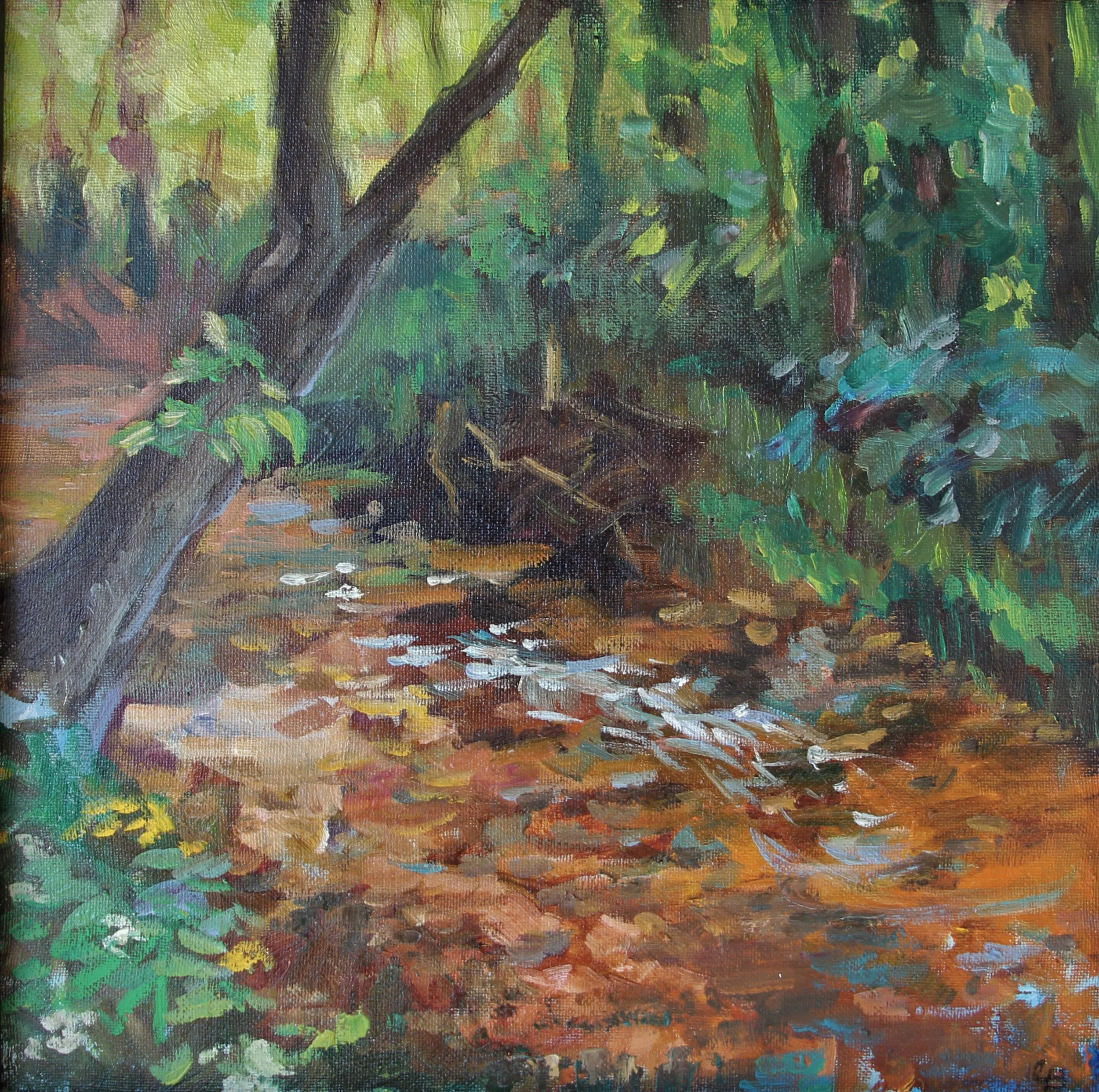 Rock Bridge Park.JPG