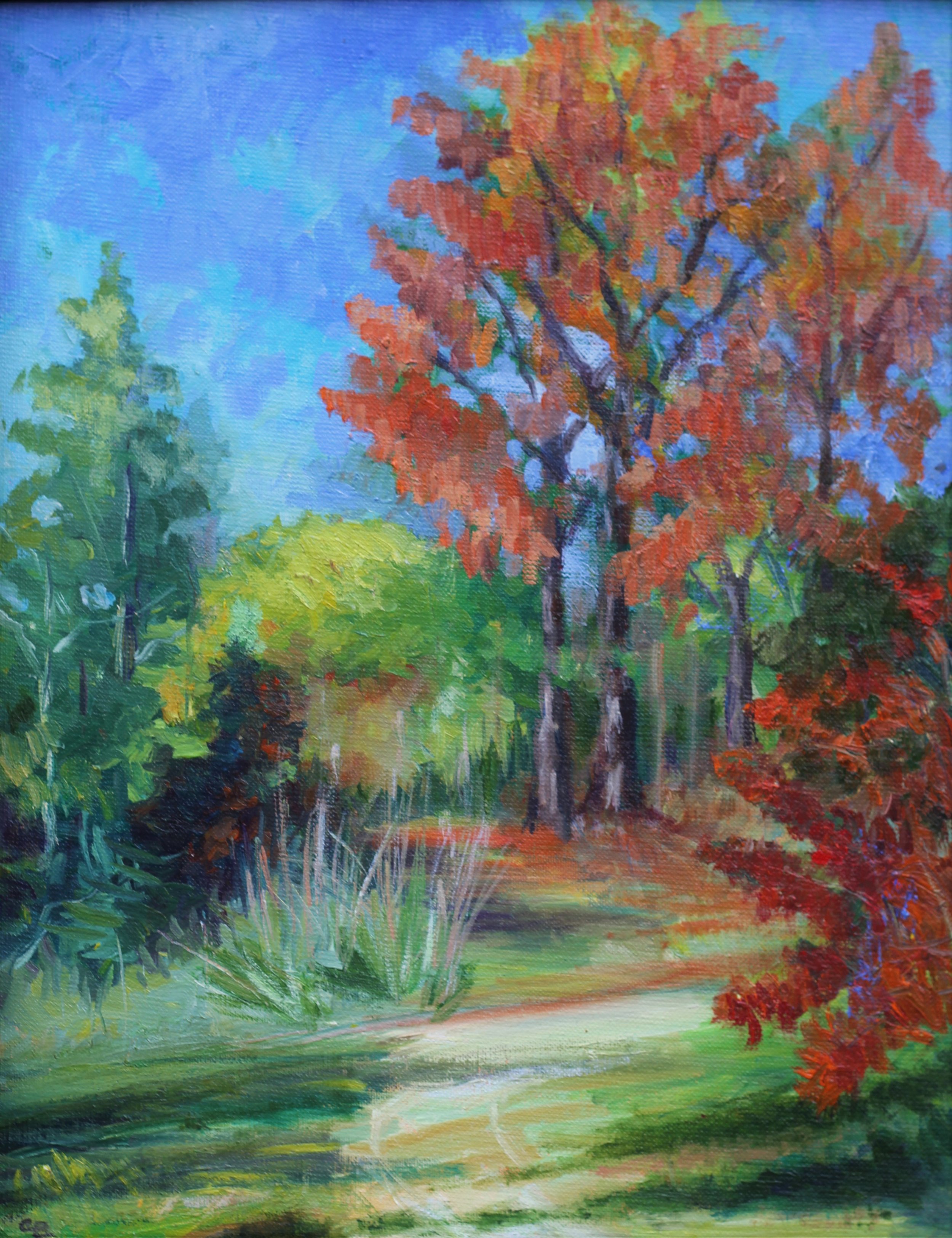 Fall on the Trail.JPG