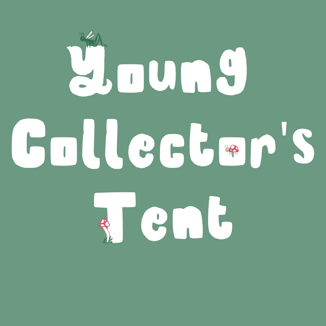 Young Collector's Tent