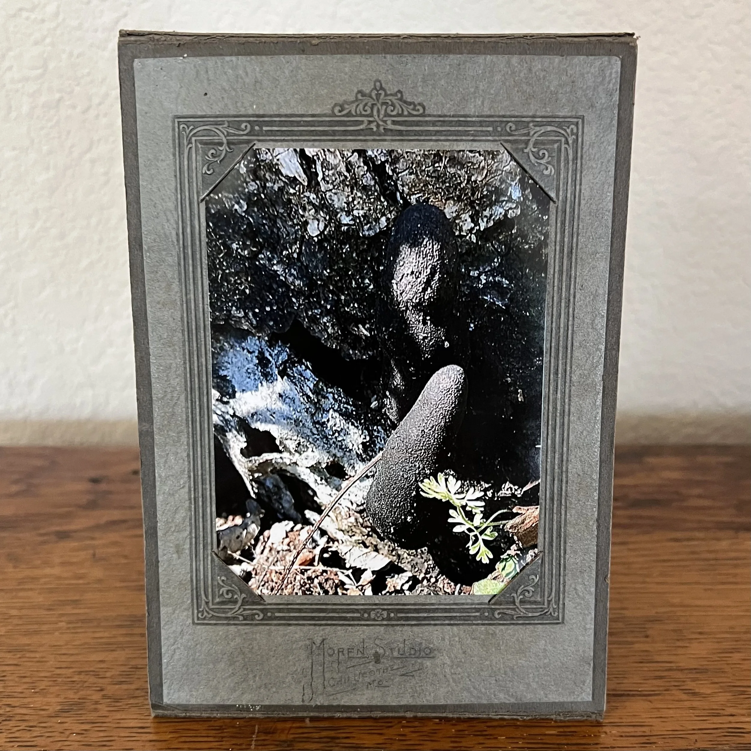 Touch Alisha Morton, Deadman's Finger.jpeg