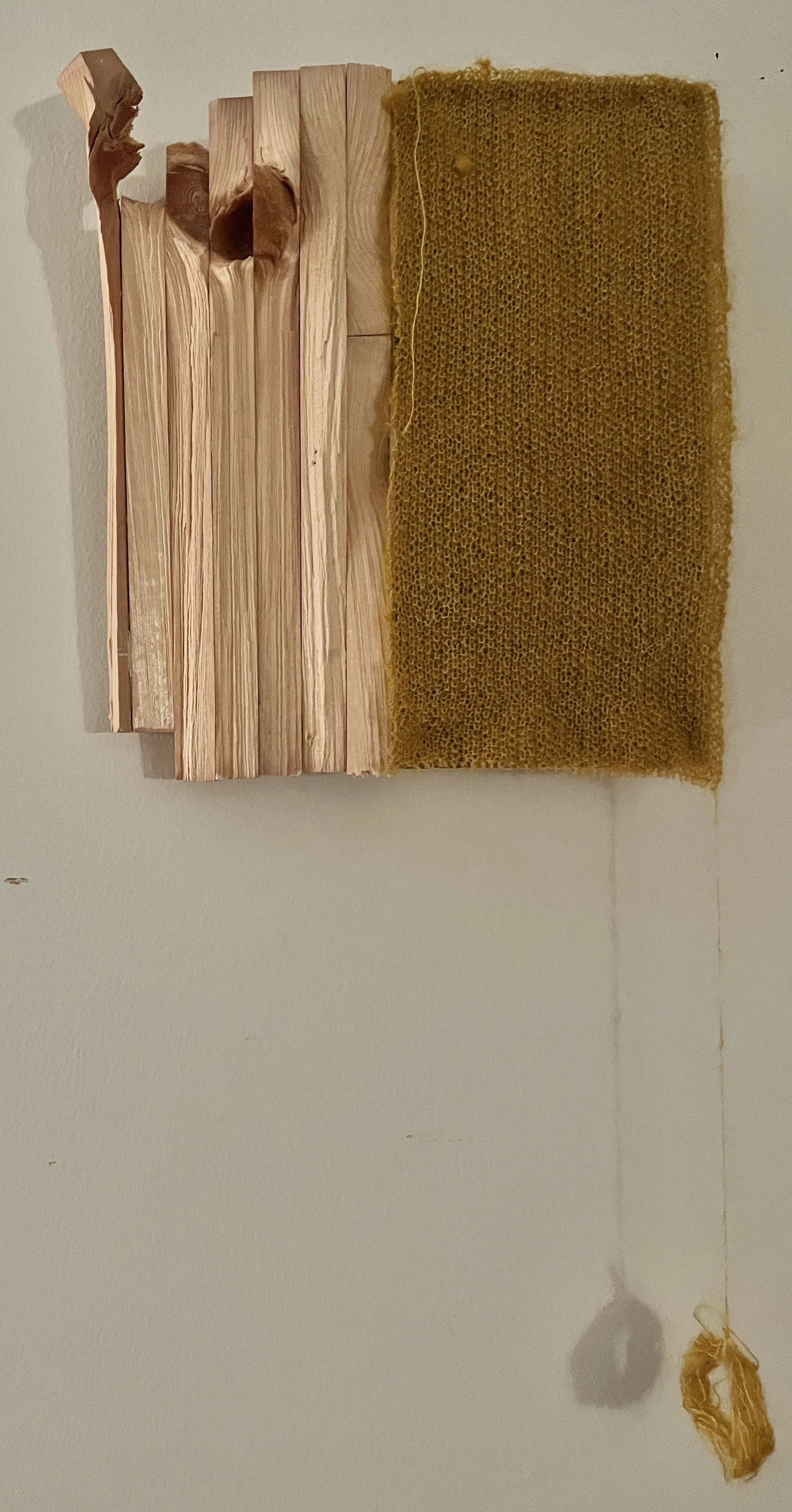 Touch Cameilla Cosgray Bird, Unspecified Error.JPG