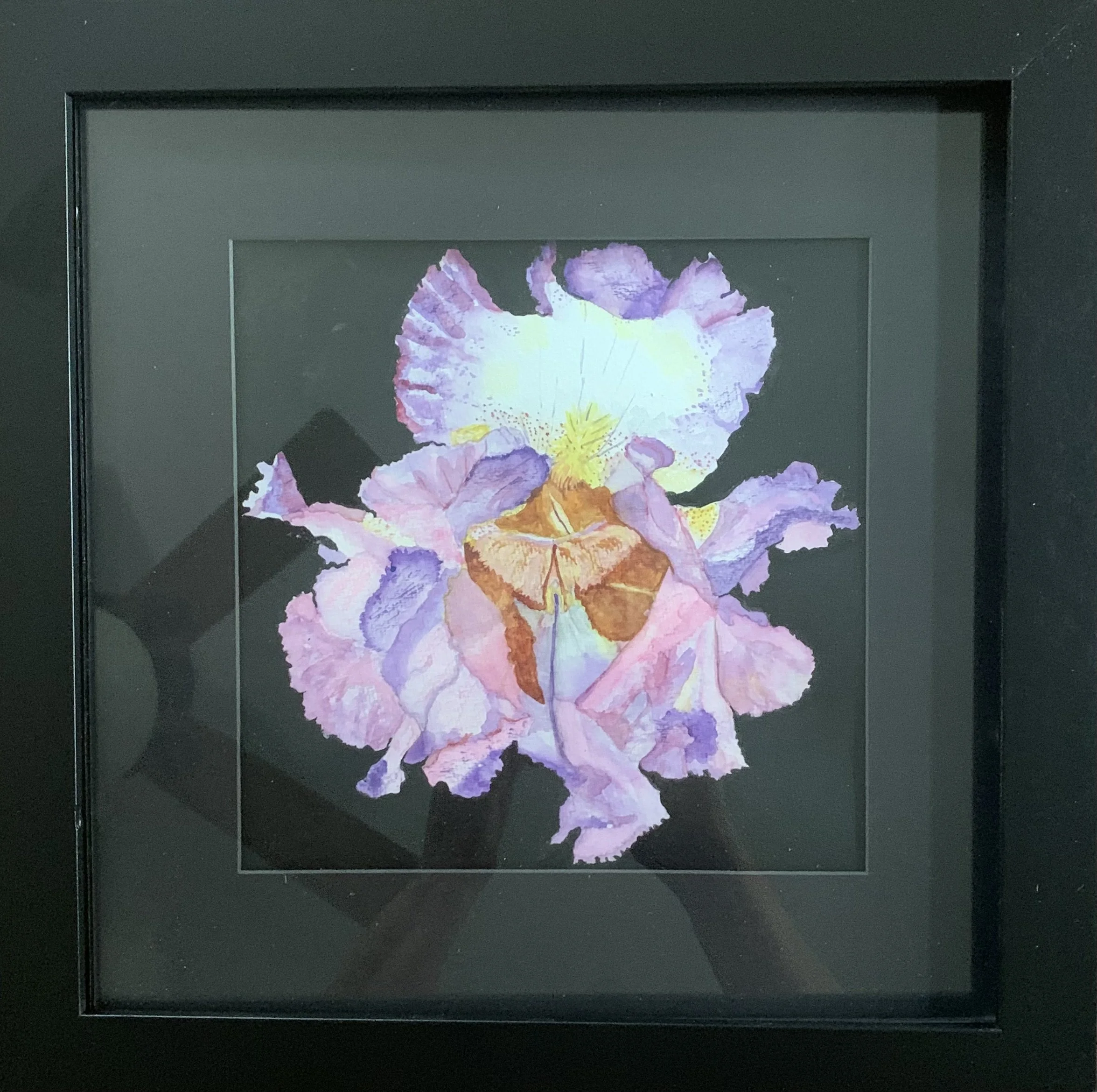 MemSum23 Mary Redders, Iris.jpeg