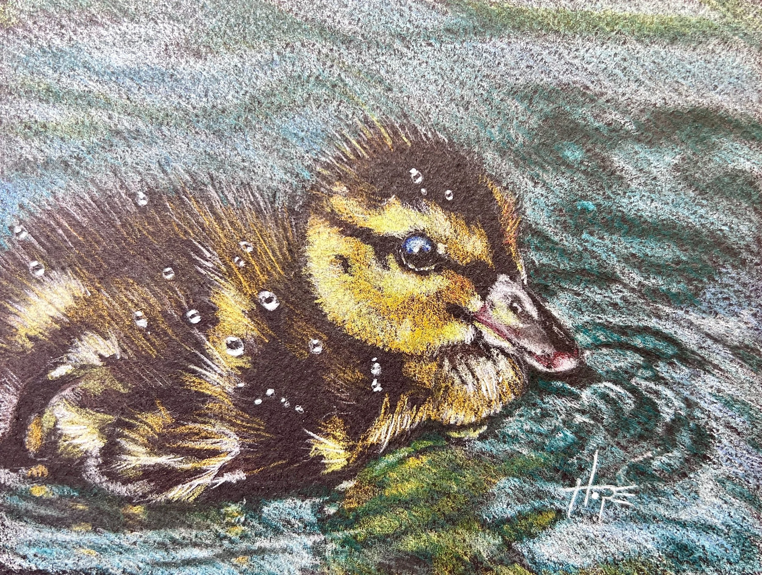 MemSum23 Hope Martin, watery jewels.jpeg