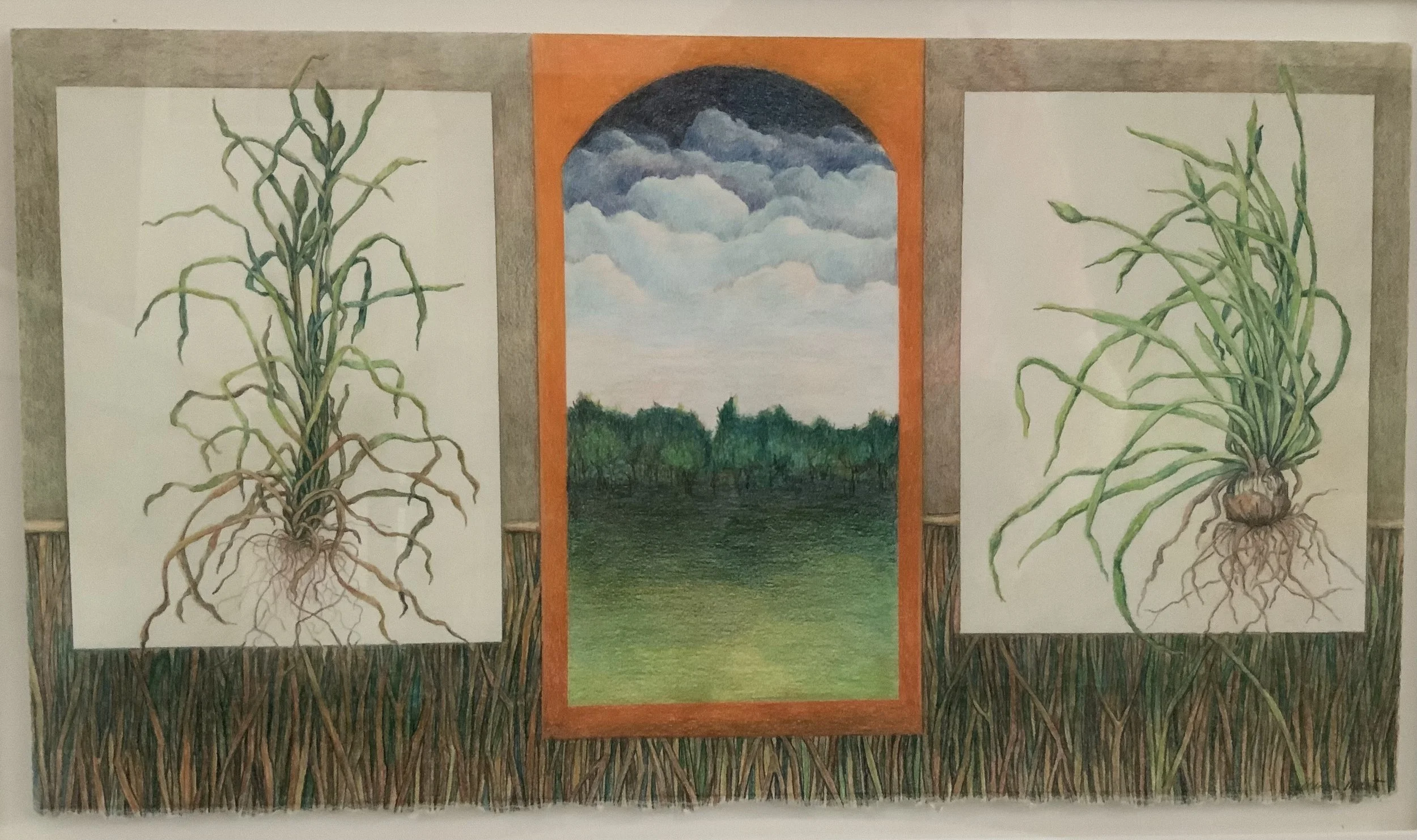 MemSum23 Susan Mart, Rootstock.jpeg