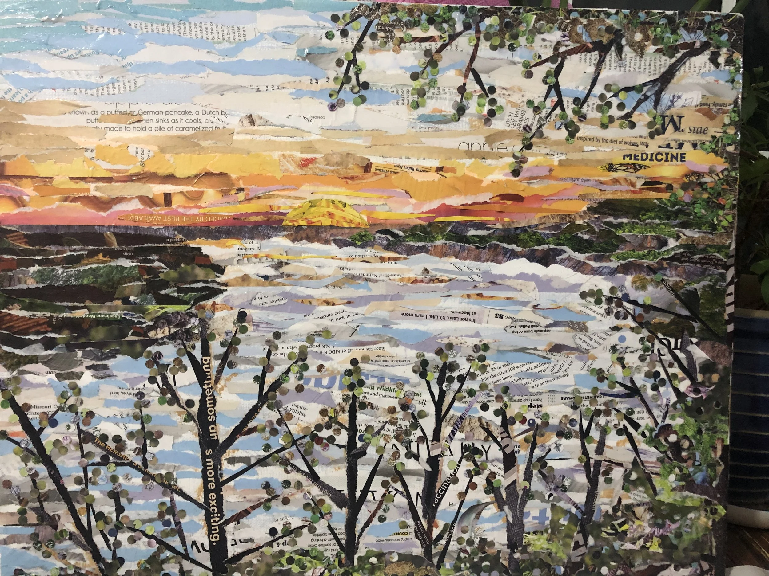 MemSum23 Vanessa Dorman, Sunset at Rocheport.jpeg