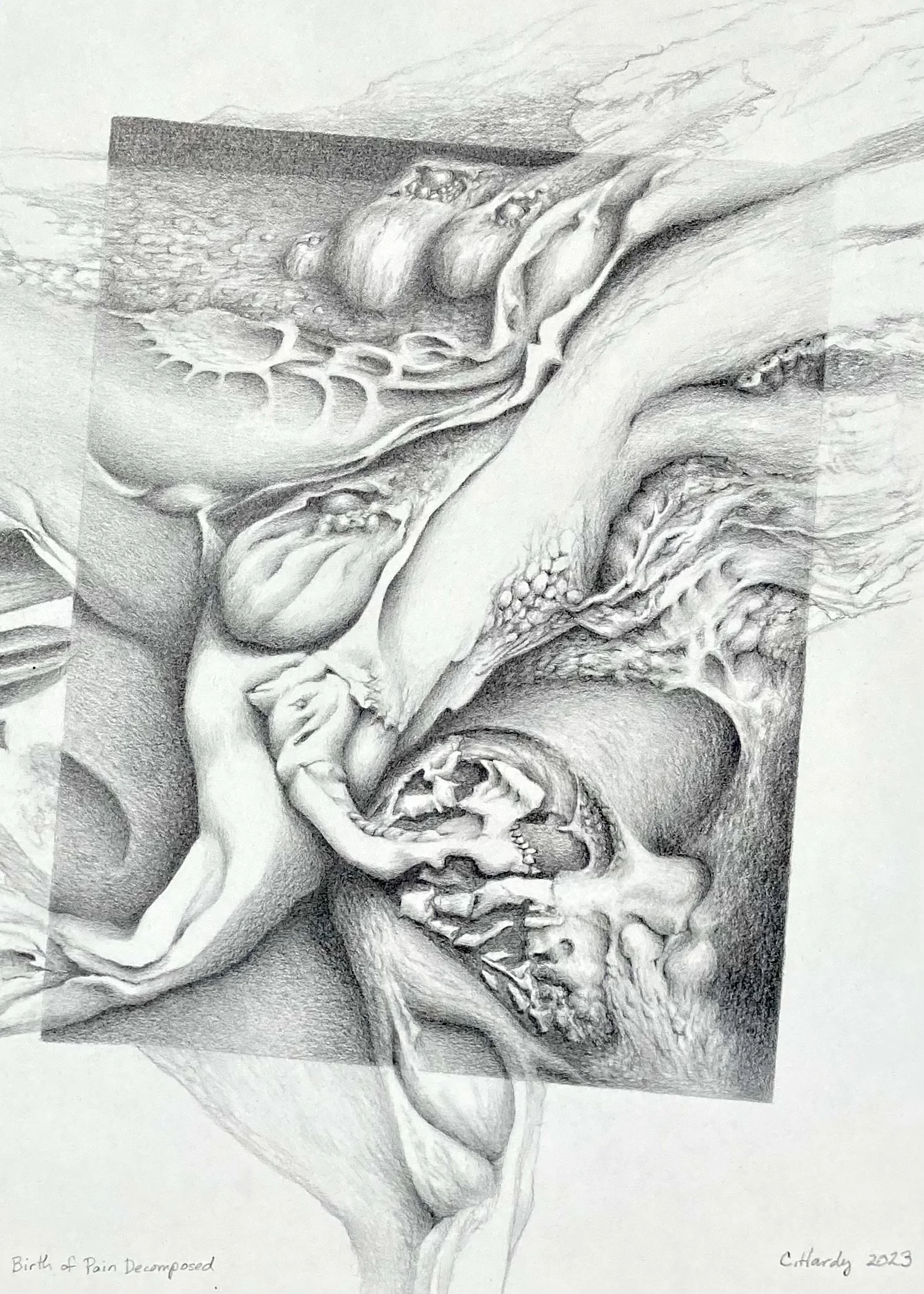 OKC Cheryl Hardy, Birth of Pain Decomposed.jpeg