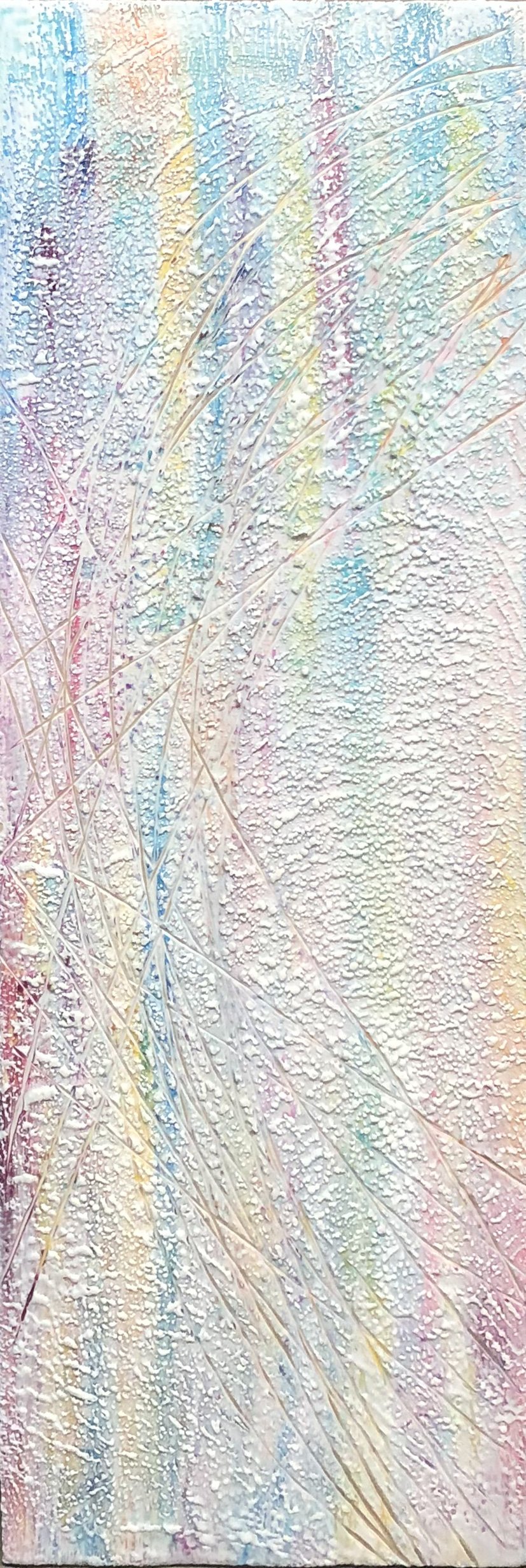 Sherpa Rainbow.JPG