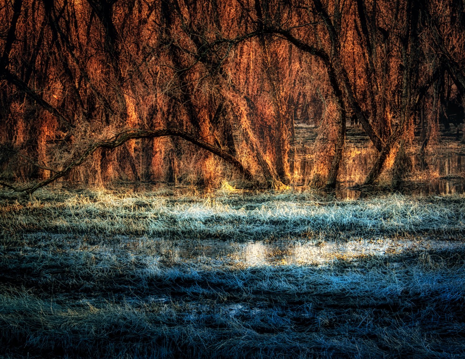 Fire and Ice small.jpeg