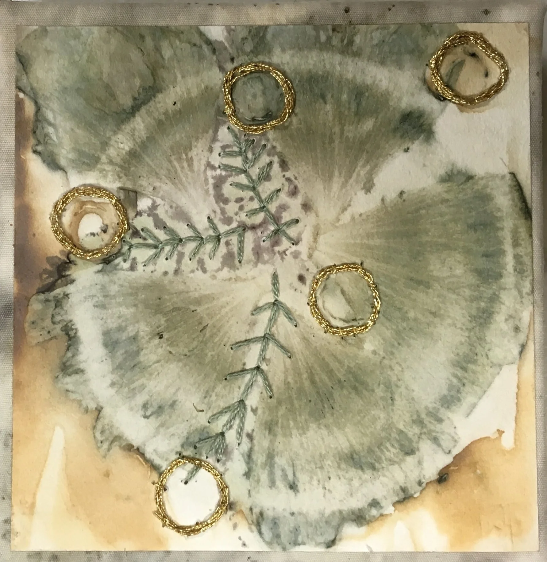 Leandra Spangler, Hibiscus.JPG