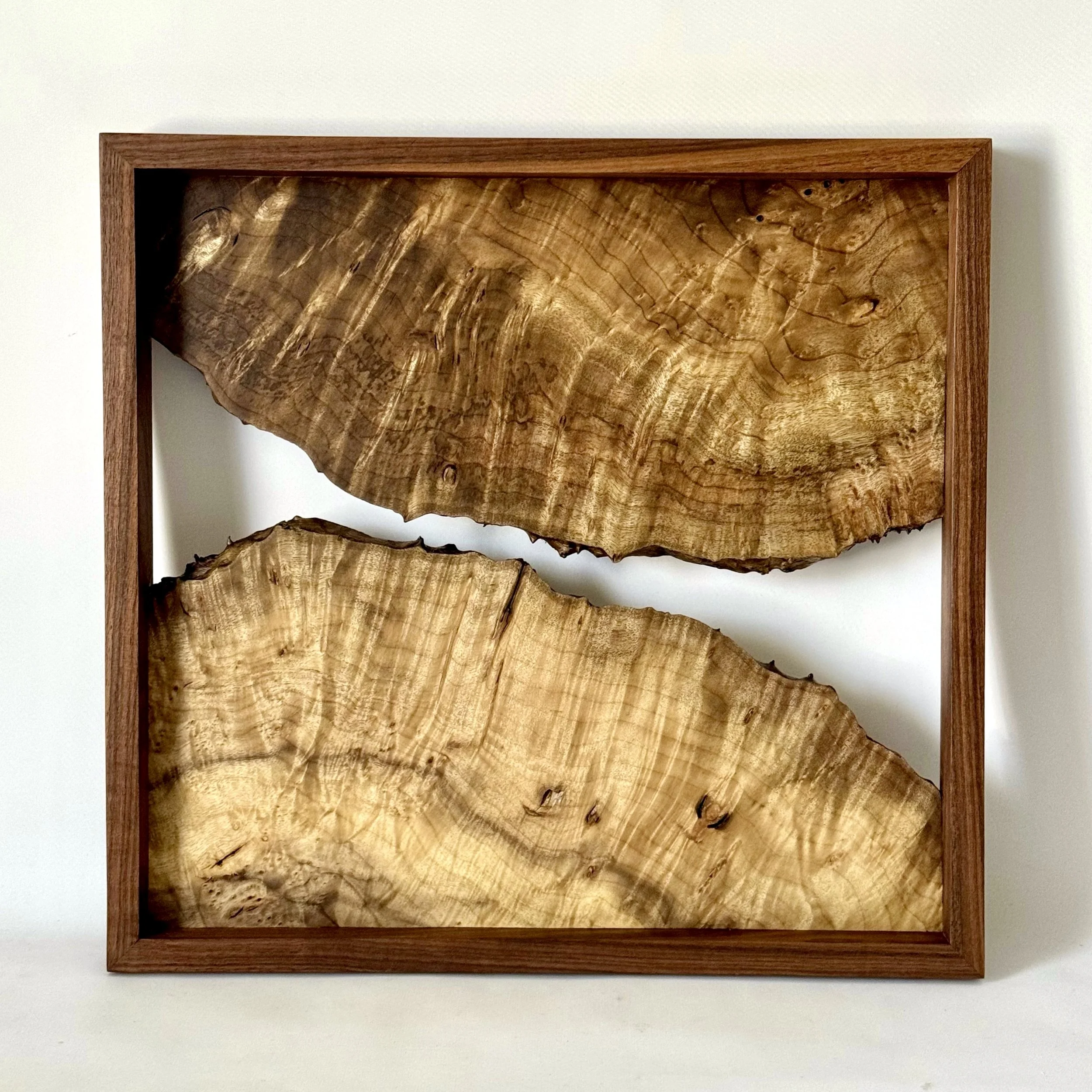 Sara Estrapala, Myrtle Burl.jpeg