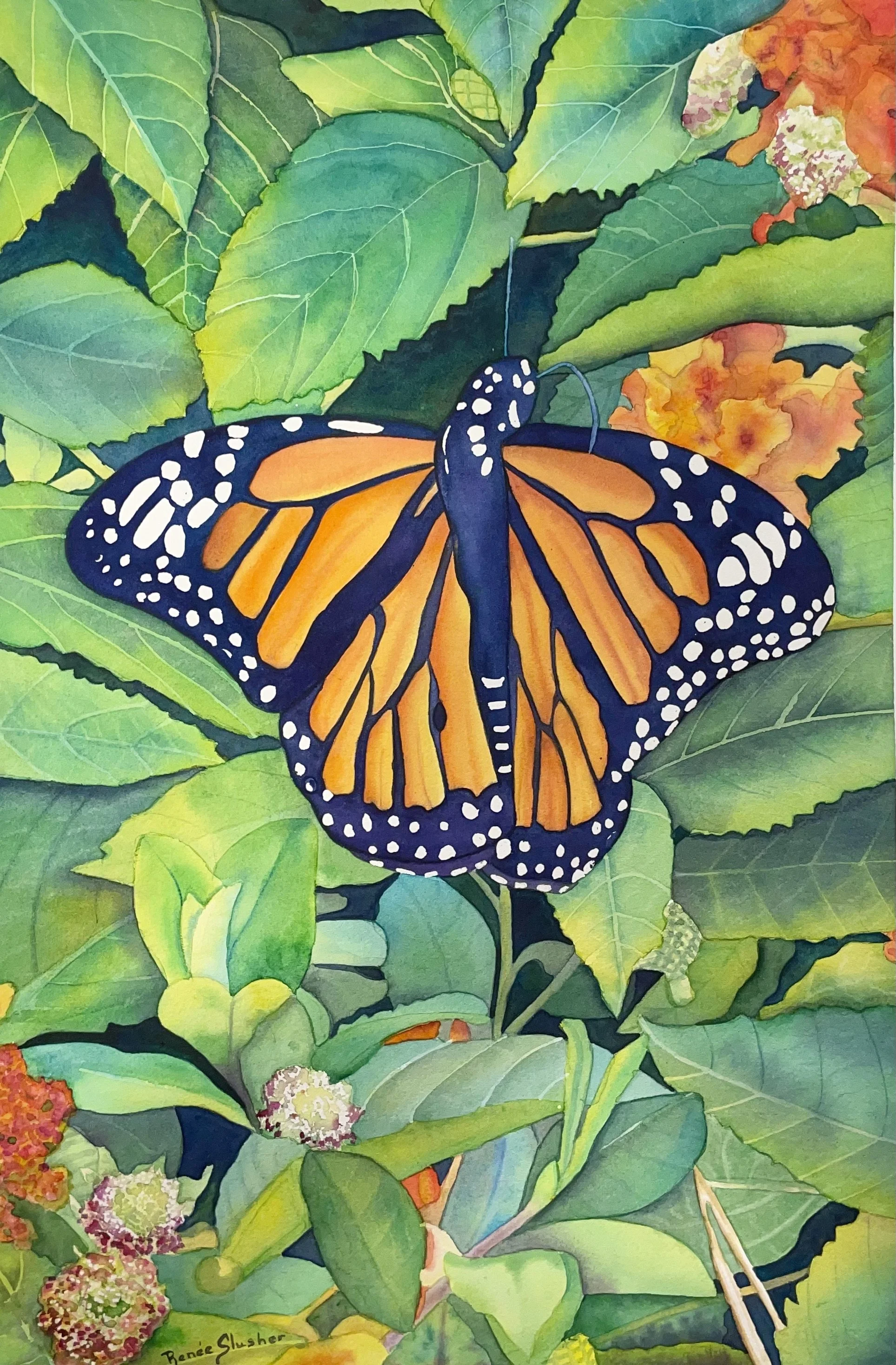 Renee Slusher, Monarch Butterfly.jpeg