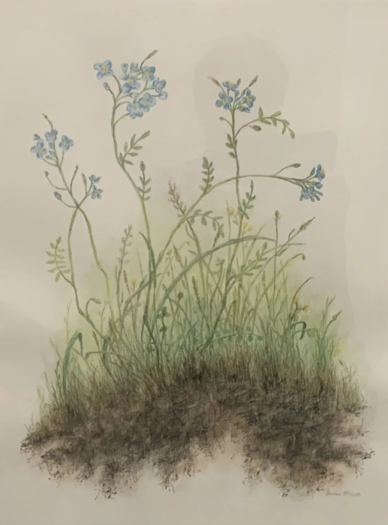 Susan Mart, Backyard Bog.jpeg