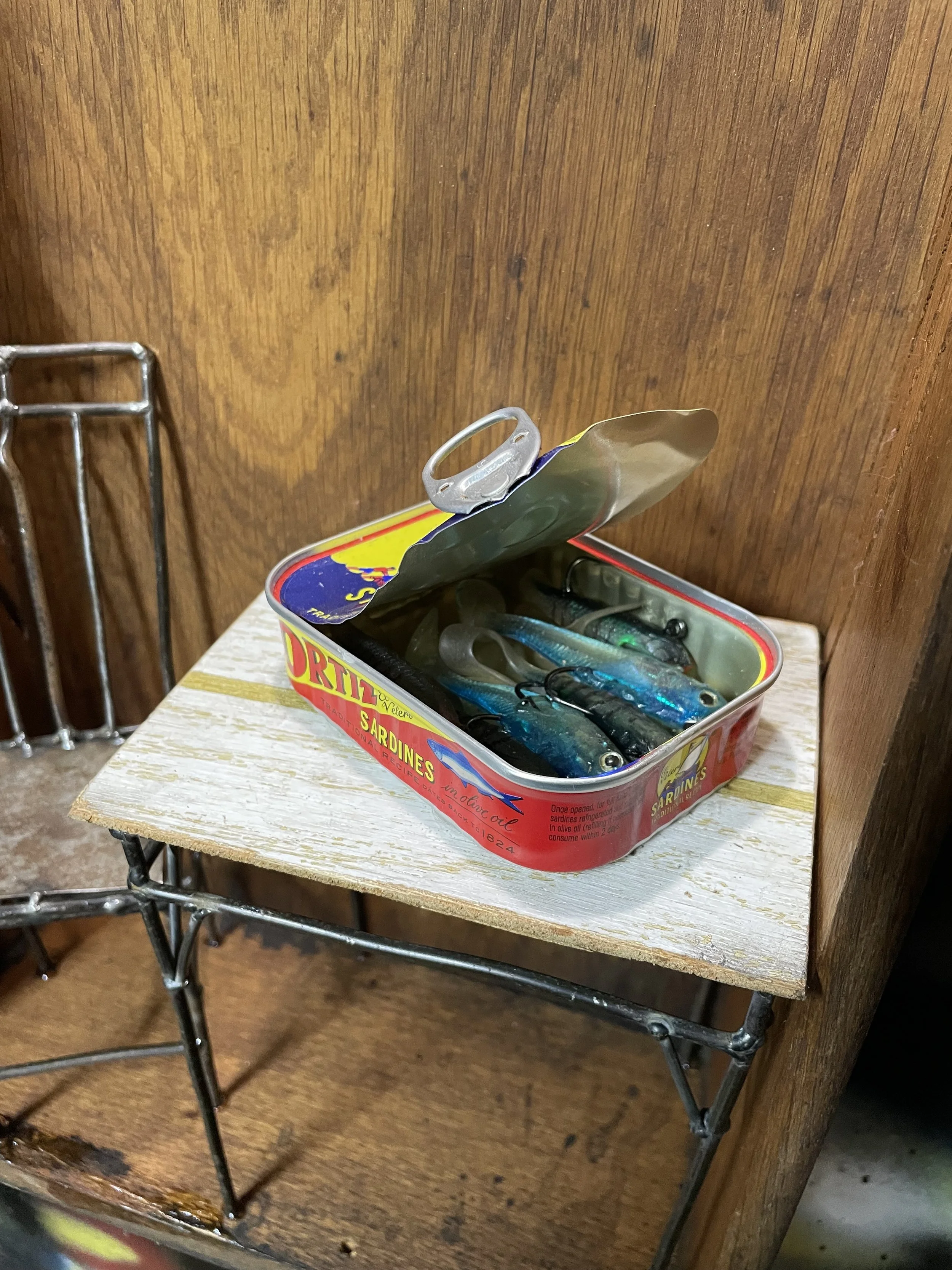 Michael Marcum, A Book and Sardines 2.jpeg