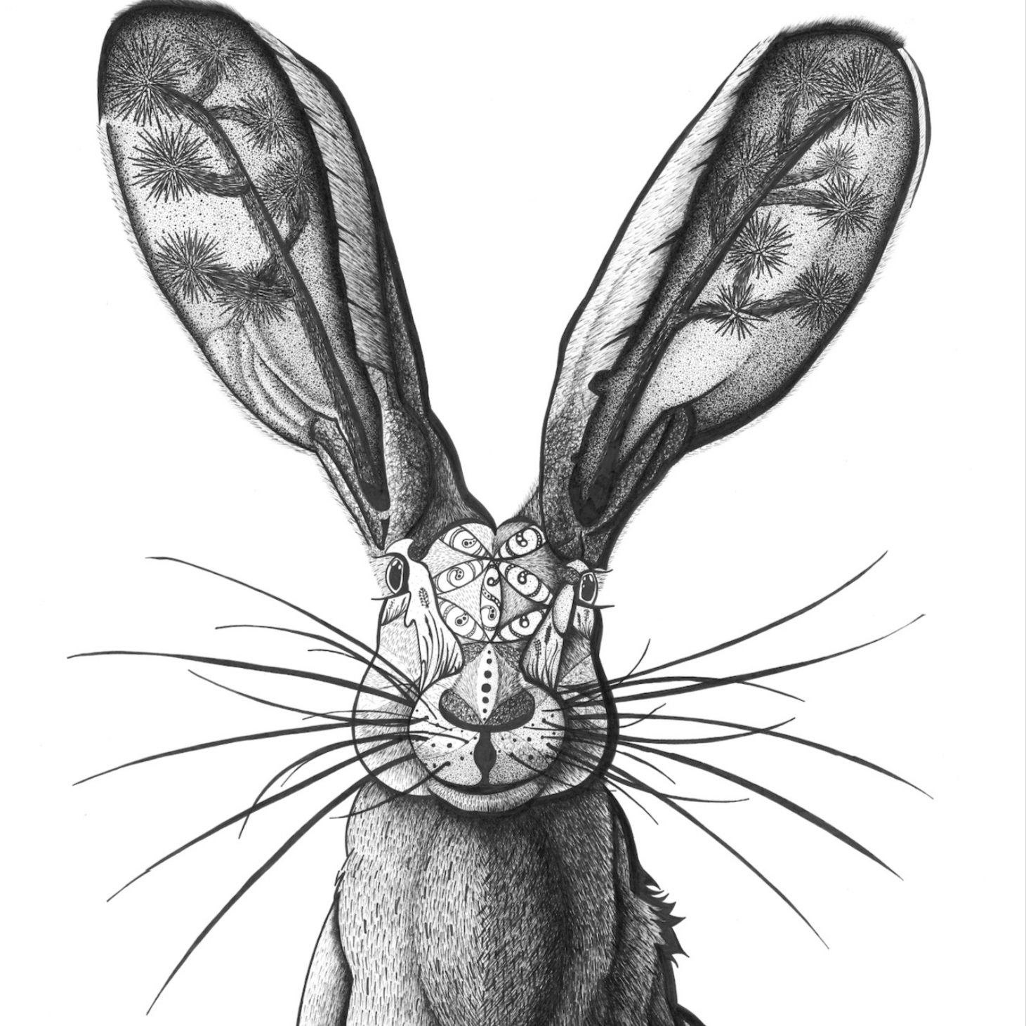 Sarah Skiold-Hanlin, Collinsville, IL