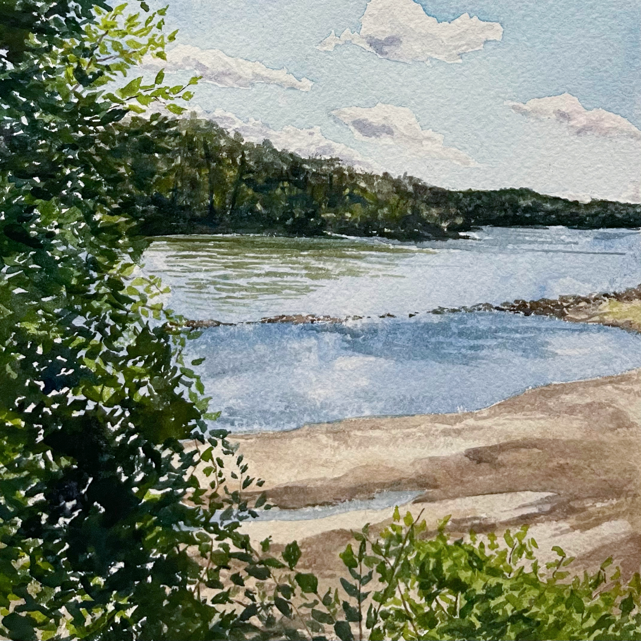 landscape1+%281%29.png