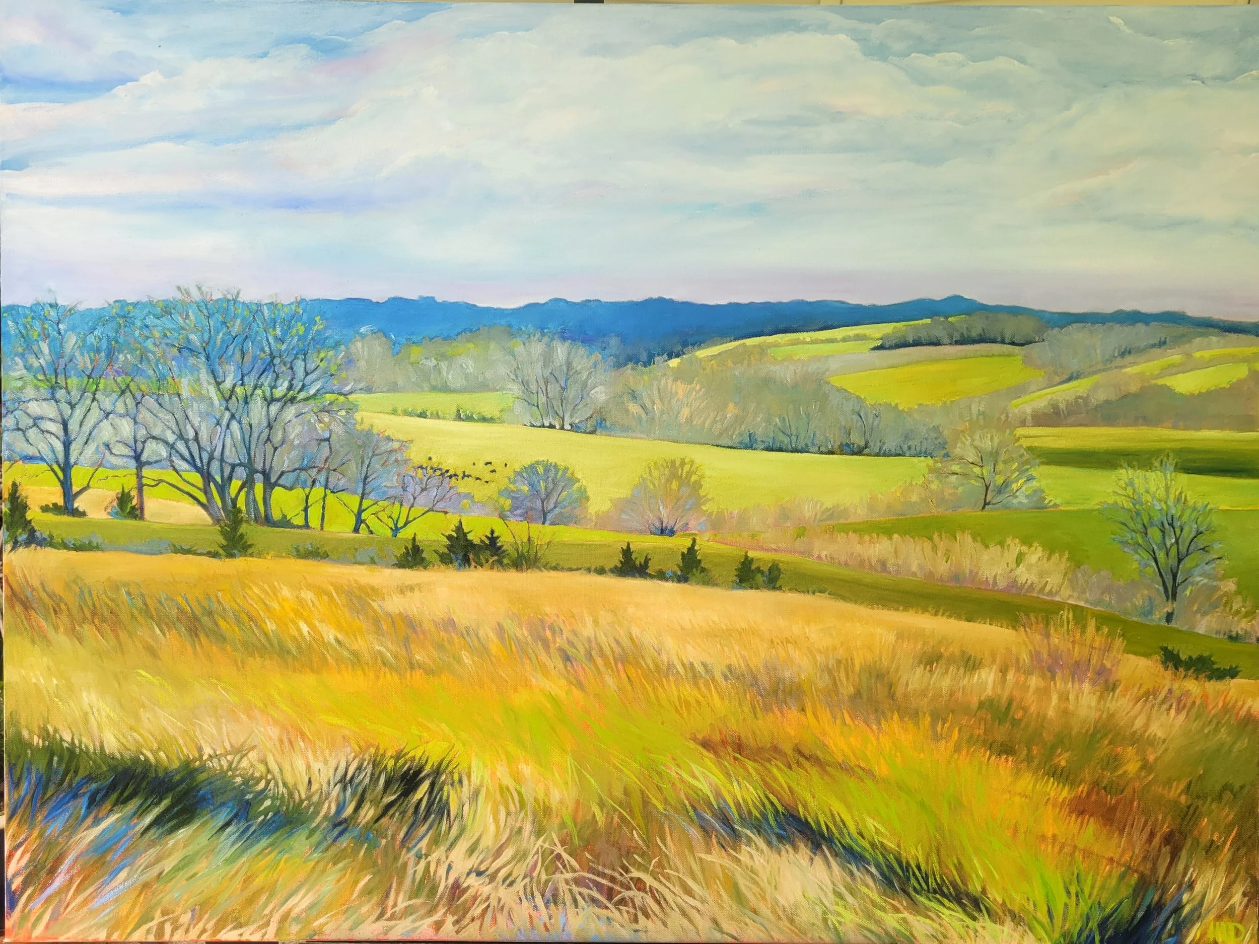 MDaniels_CharitonRiverValley_30x40_oil.jpg