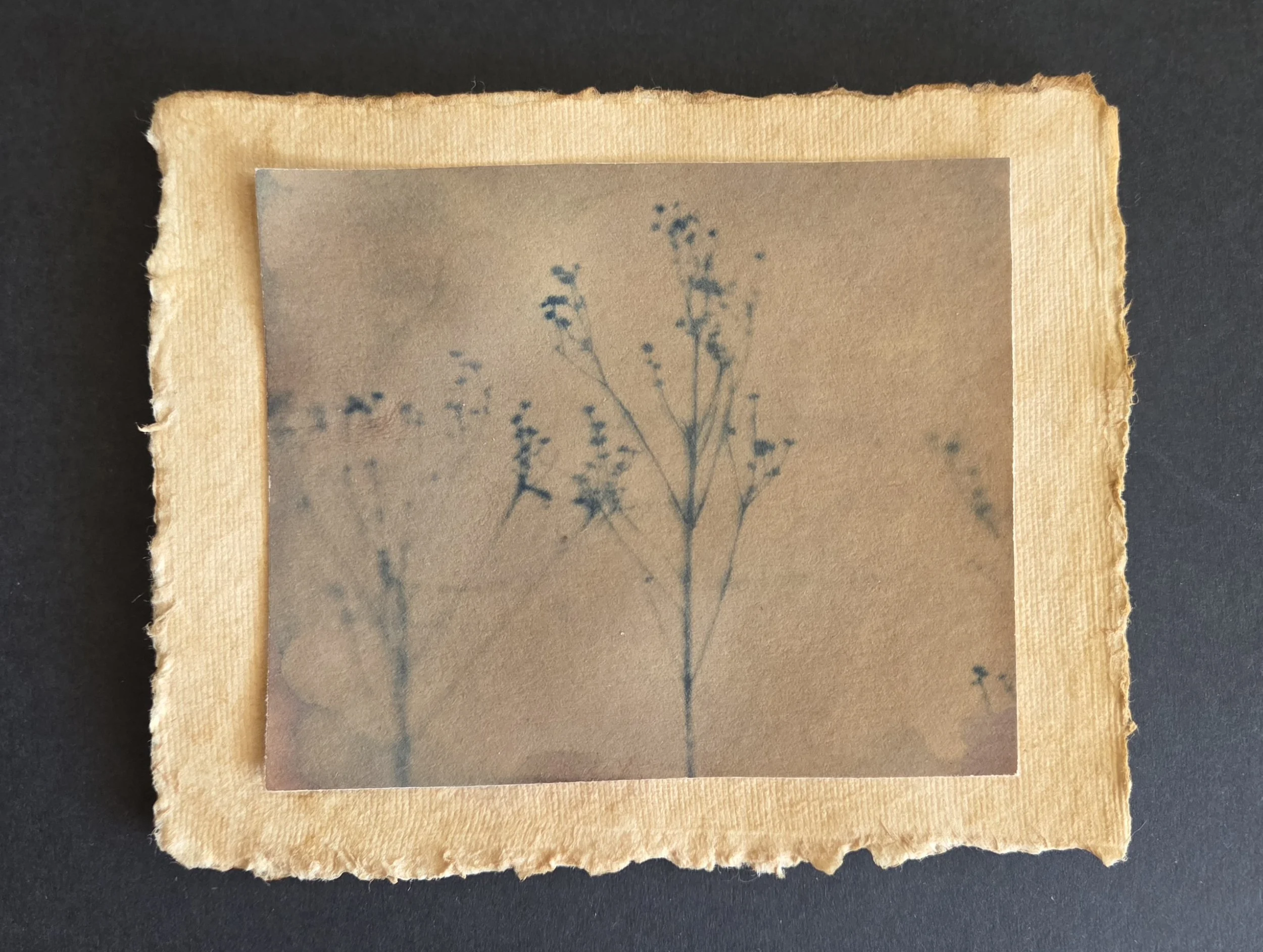 Lina Forrester, Un Matin Tranquille.jpg