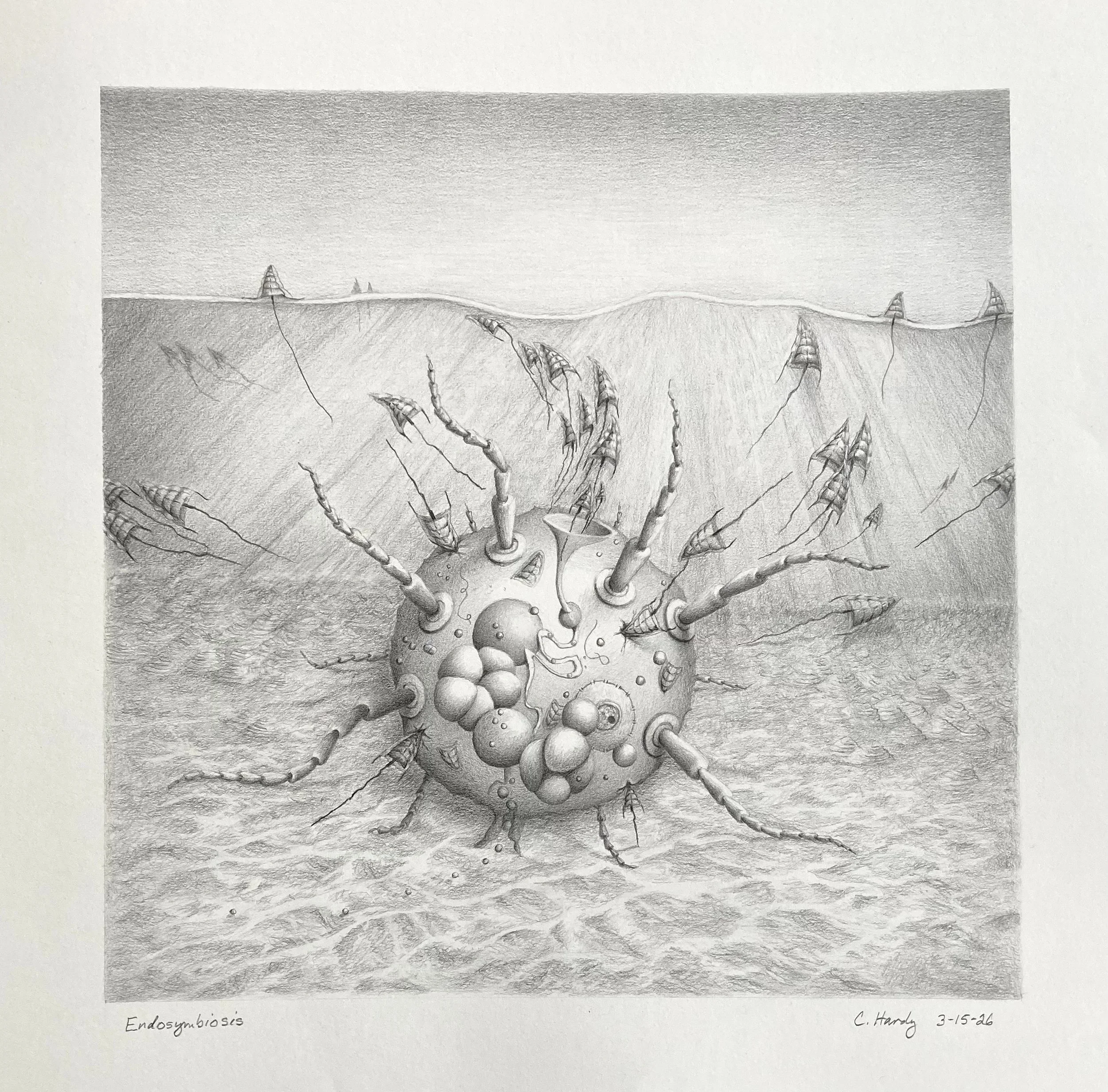 Cheryl Hardy, Endosymbiosis.jpeg