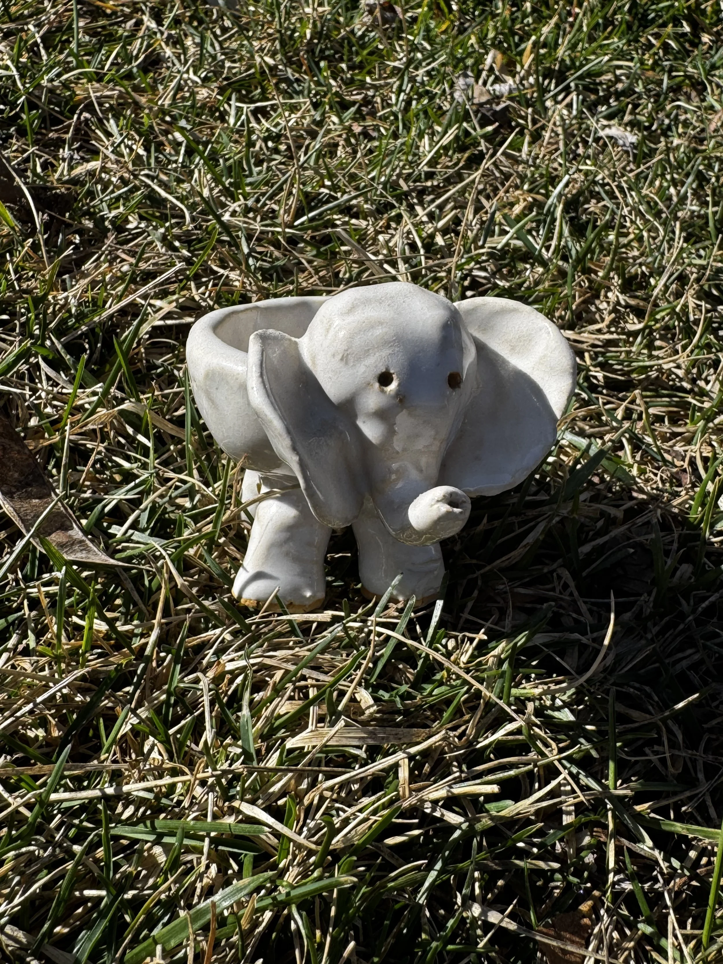 Pam Sisson, Tiny Elephant Baby.jpeg