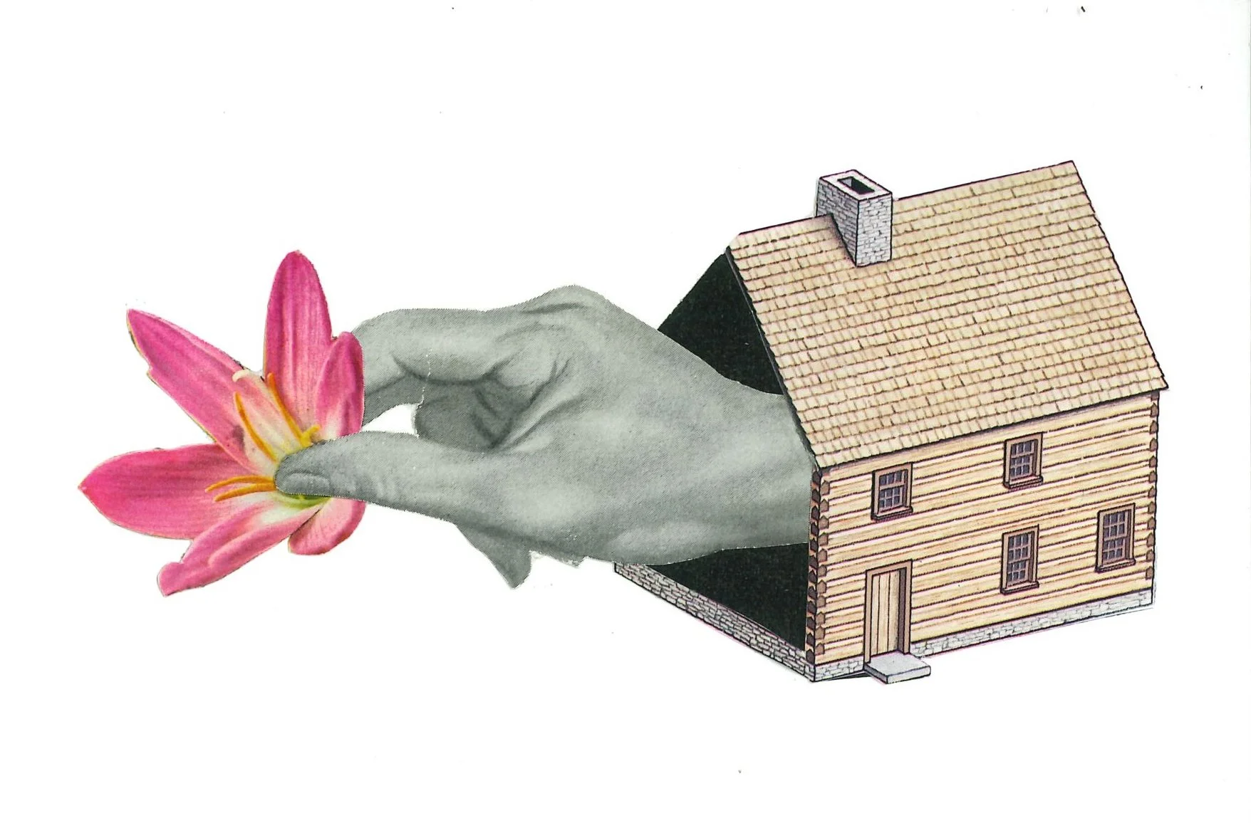 David Solomon, Blossom.jpg