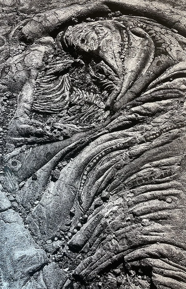 Mike Sleadd, Iwi.jpeg