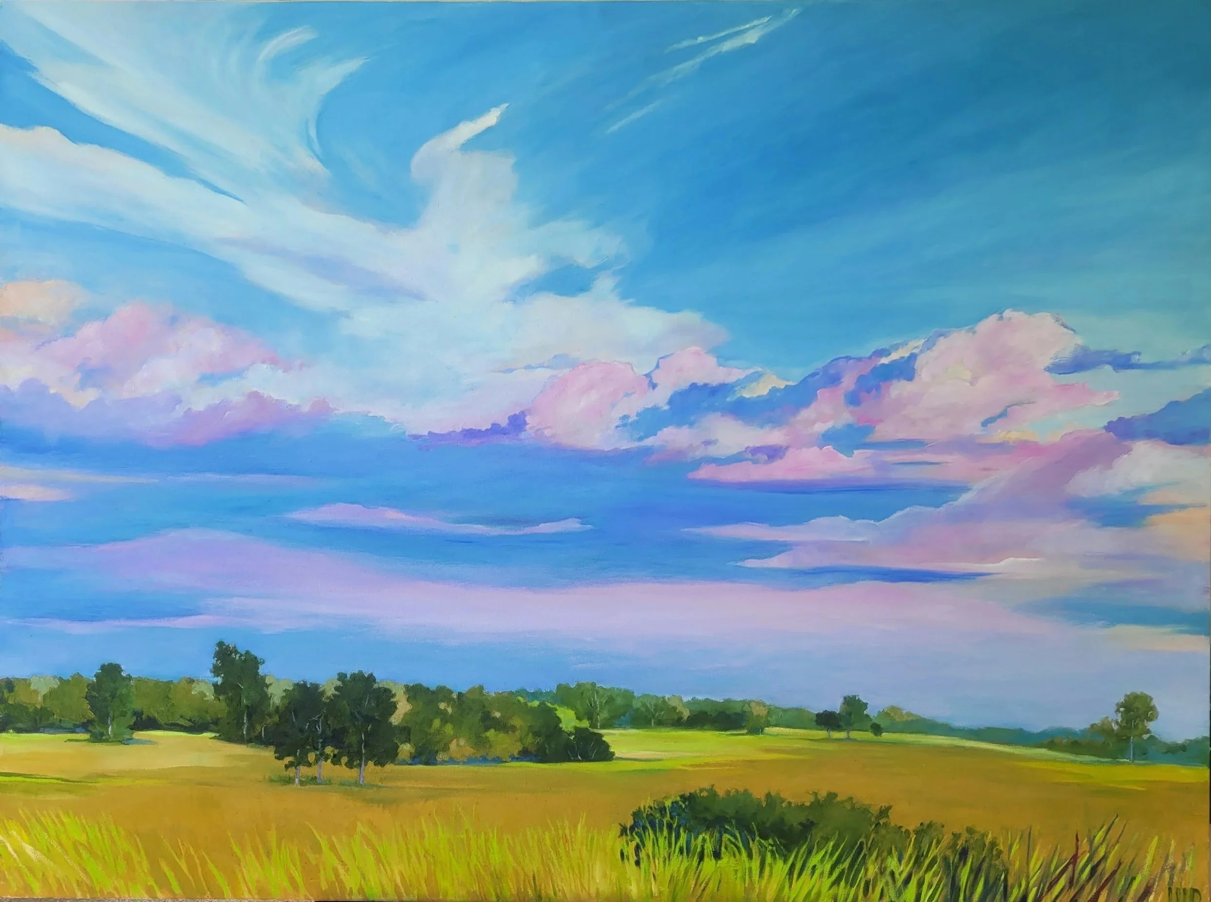 MDaniels_CallawaySkies_30x40_oil.jpg