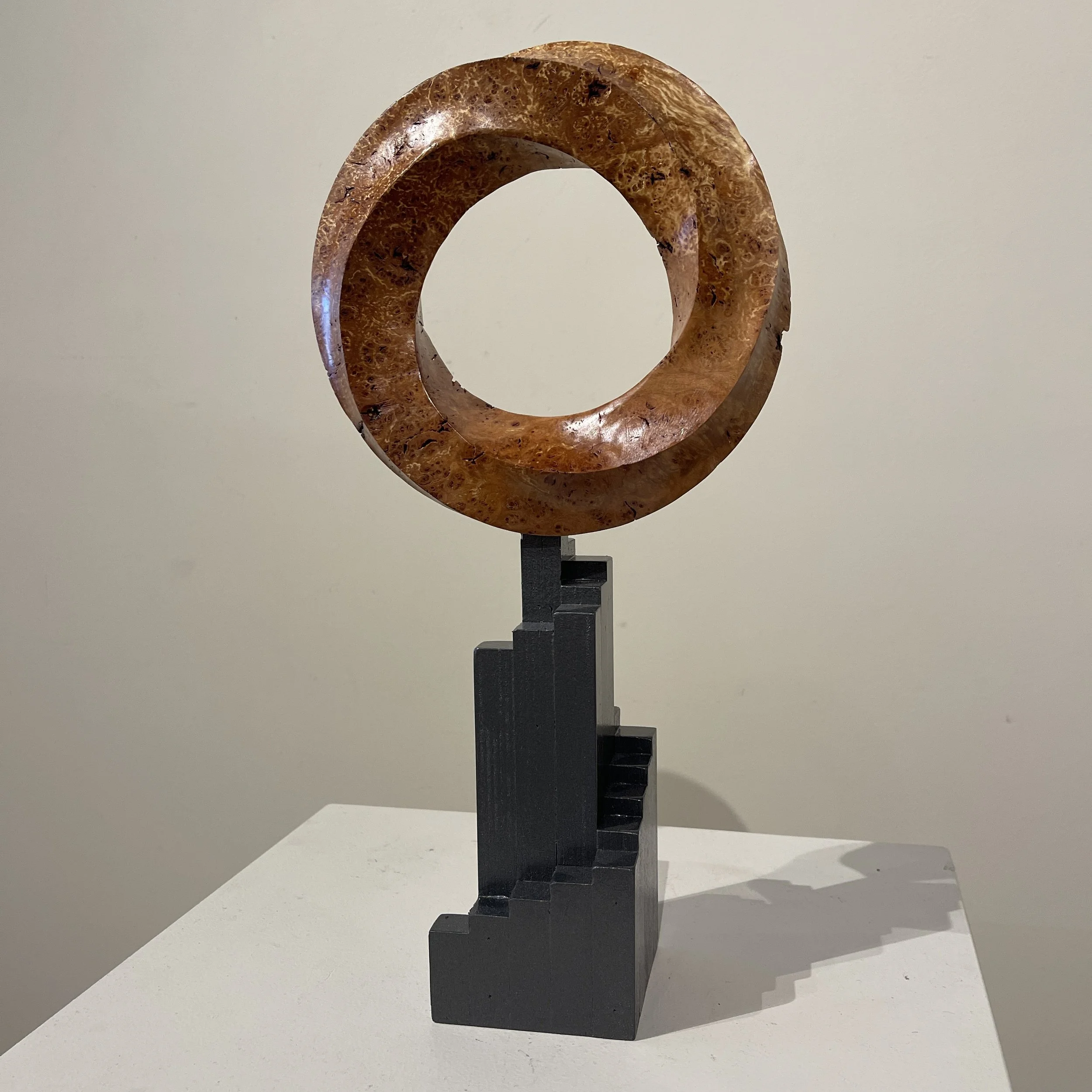 Tom Stauder, Whirled View.jpg
