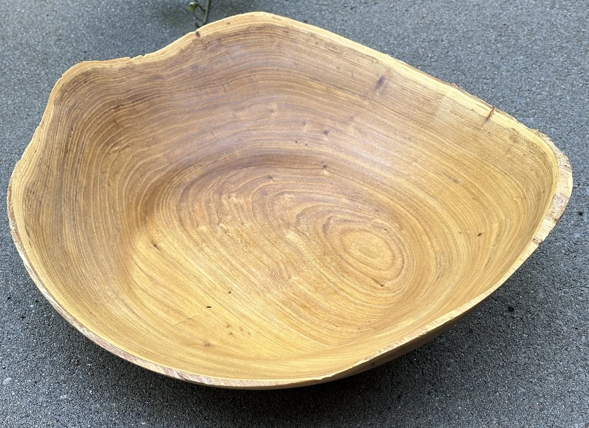 M&M_Ernest Hilderbrand, Monster Bowl.jpeg