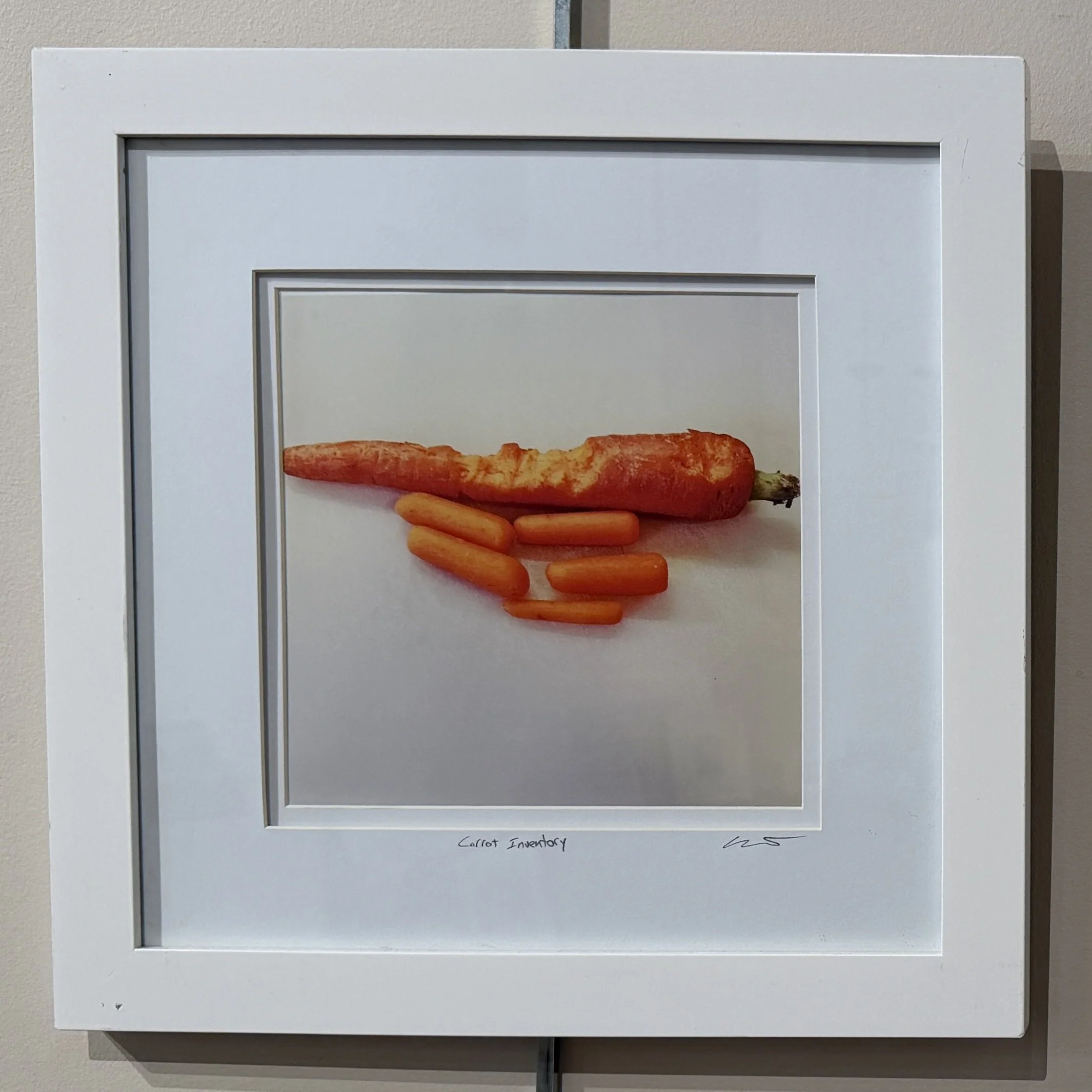 Anastasia Pottinger, Carrot Inventory.jpg