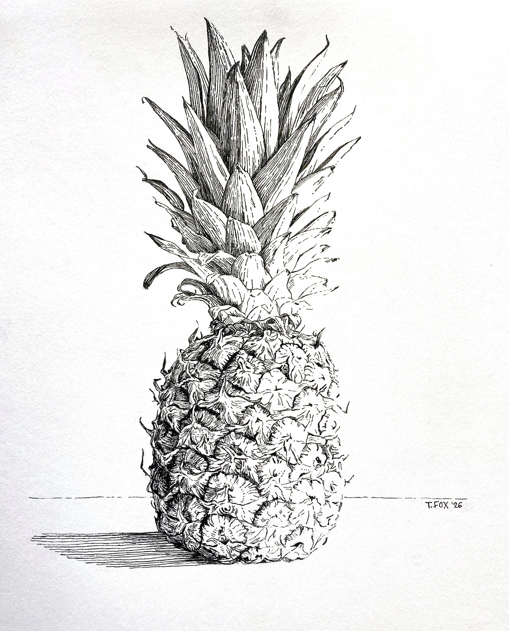 Tina Fox, Pineapple.jpg