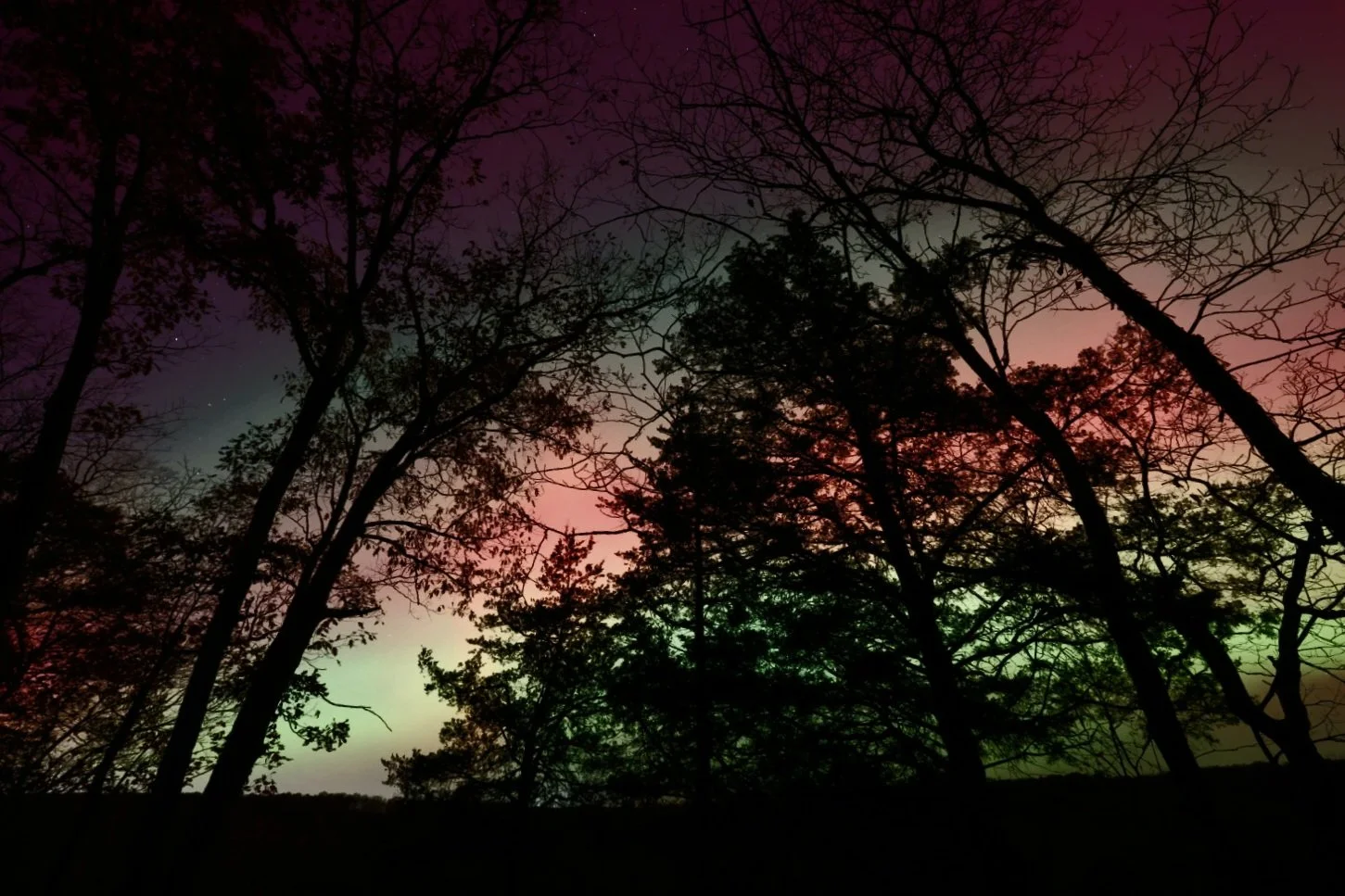 Carrie Yonley, Rainbow Aurora Thru the Woods.JPG