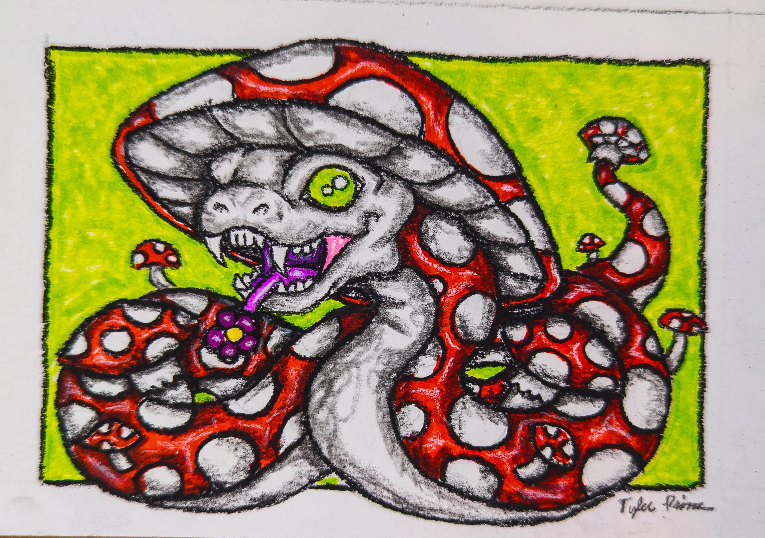 Tyler Pierson, Mushroom Snake.jpg