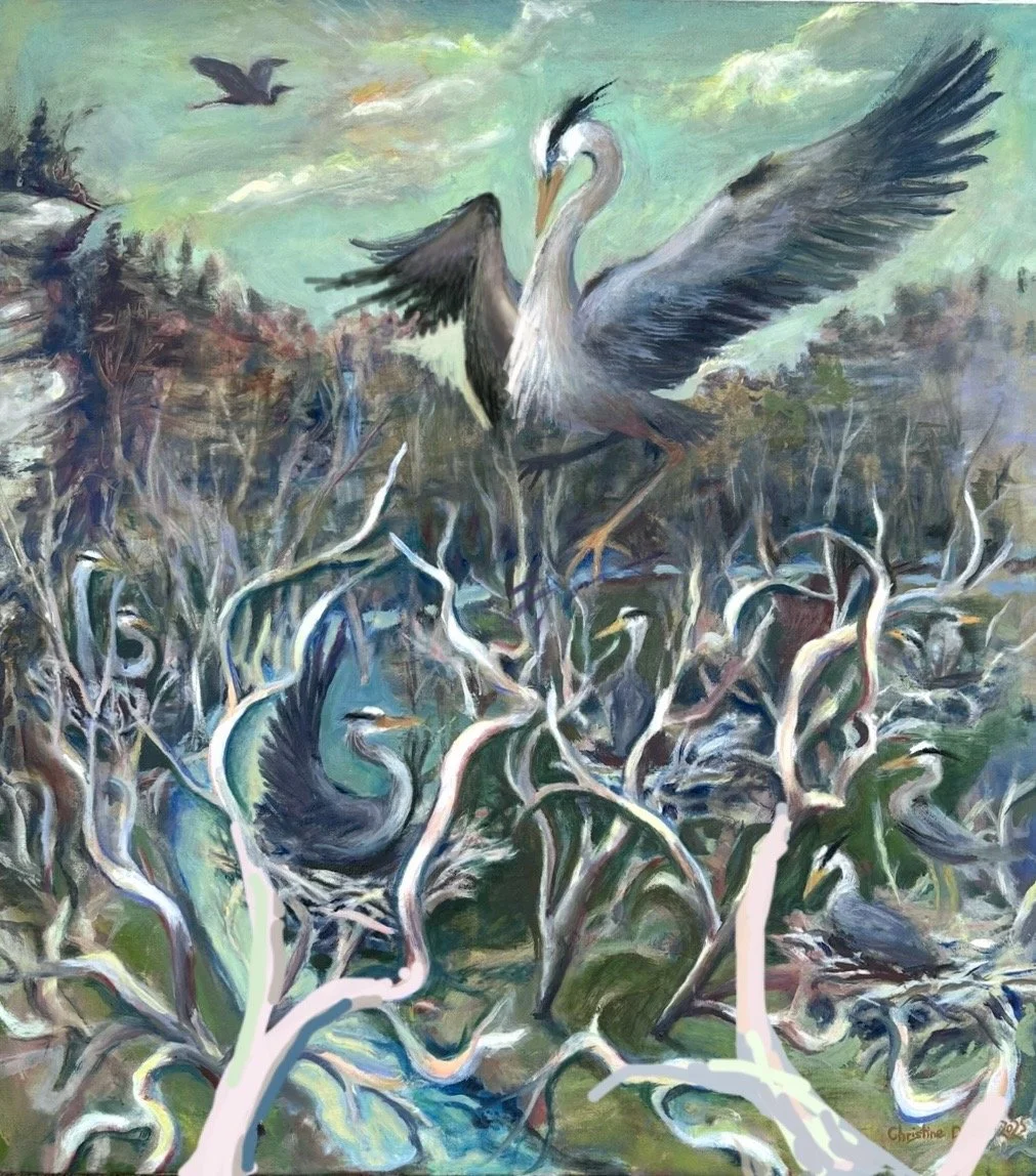 Christine Doerr, Great Blue Heron Rookery.jpeg