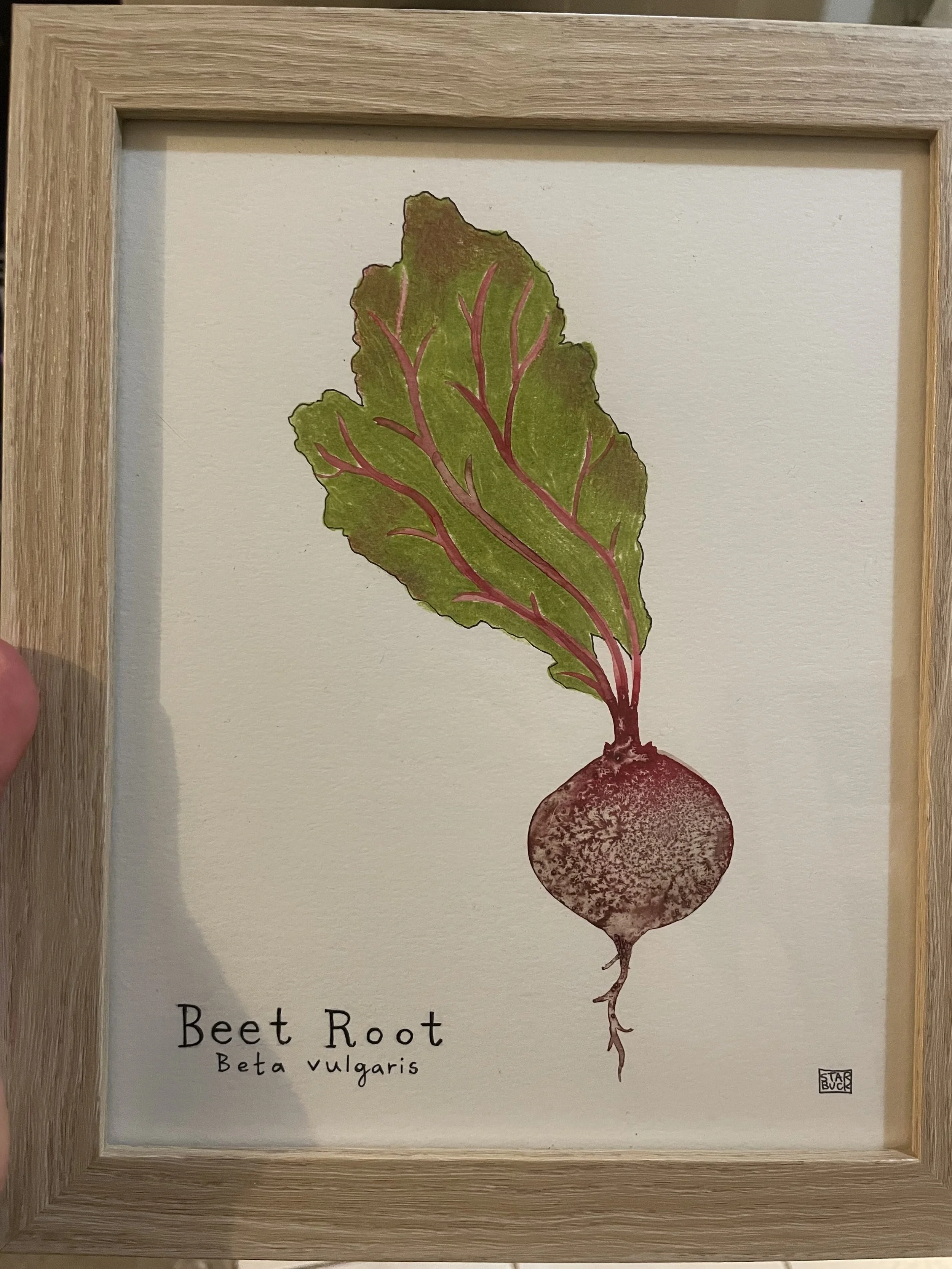 Jessie Starbuck, Beet Root.jpeg