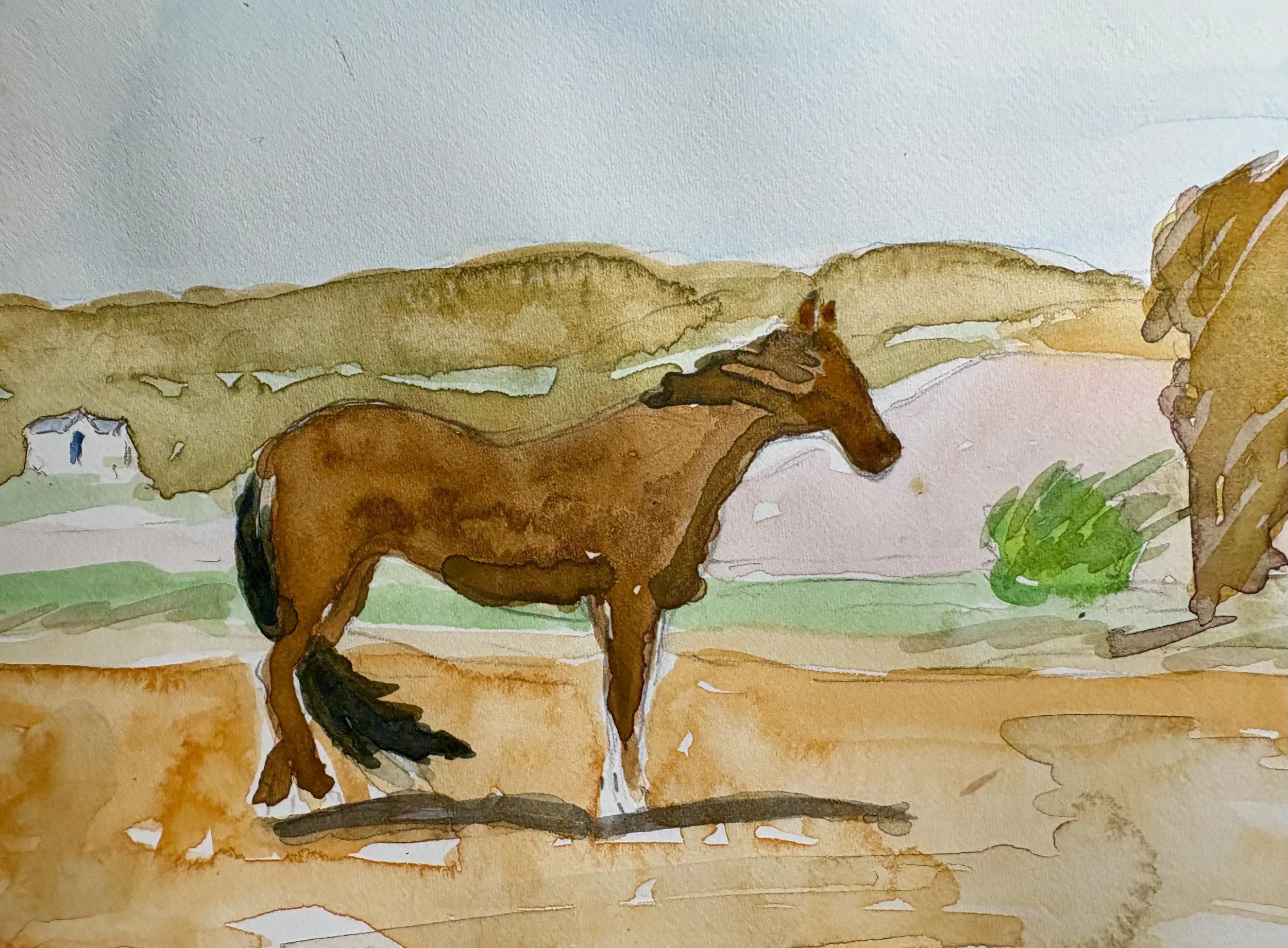 John Schneider, Horses and Art Historians I.jpeg