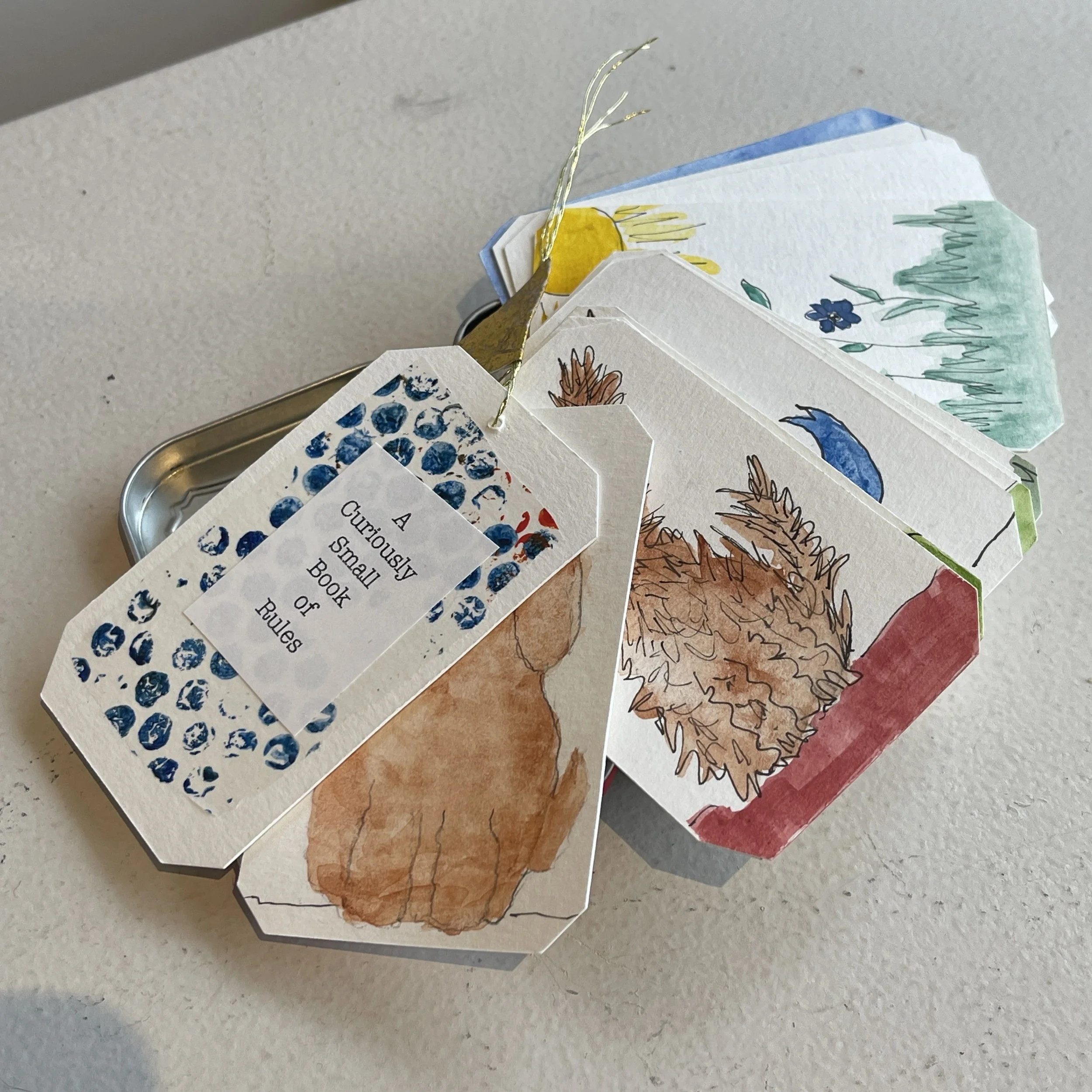 Kay Foley, A Curiously Small Book of Rules.jpg