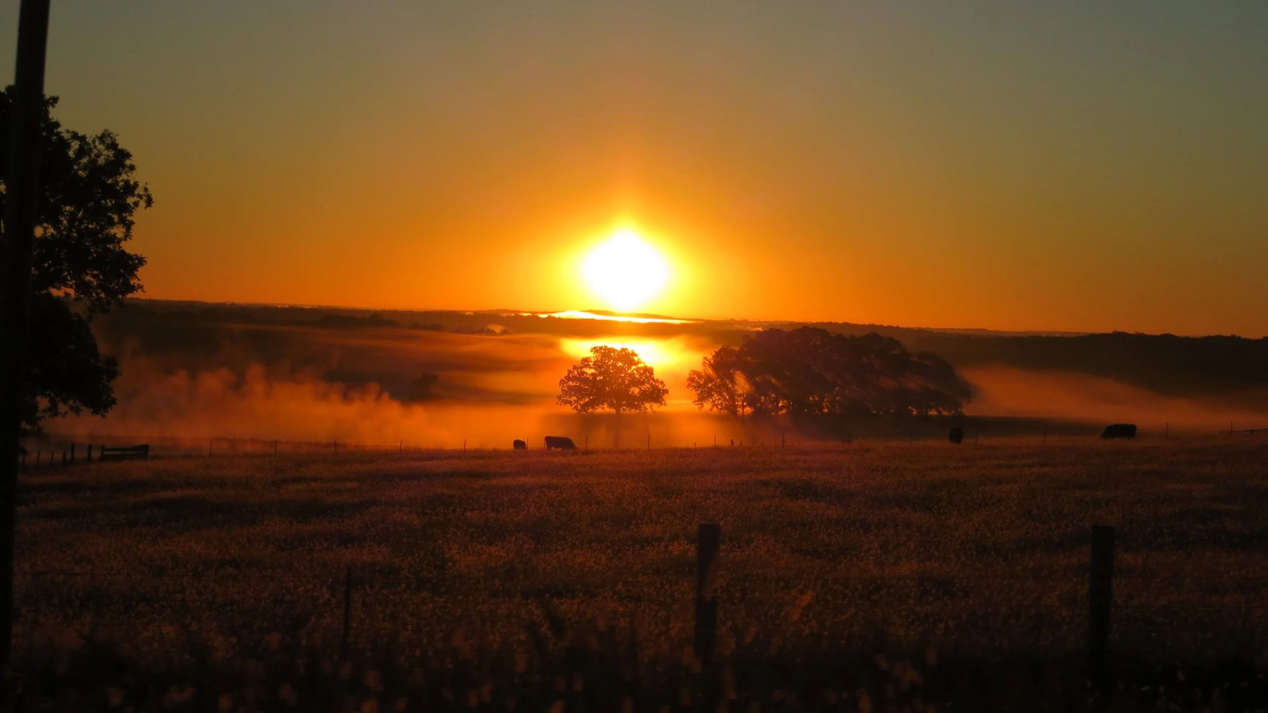 PP26_Amy Schwartz_Missouri Sunrise.JPG