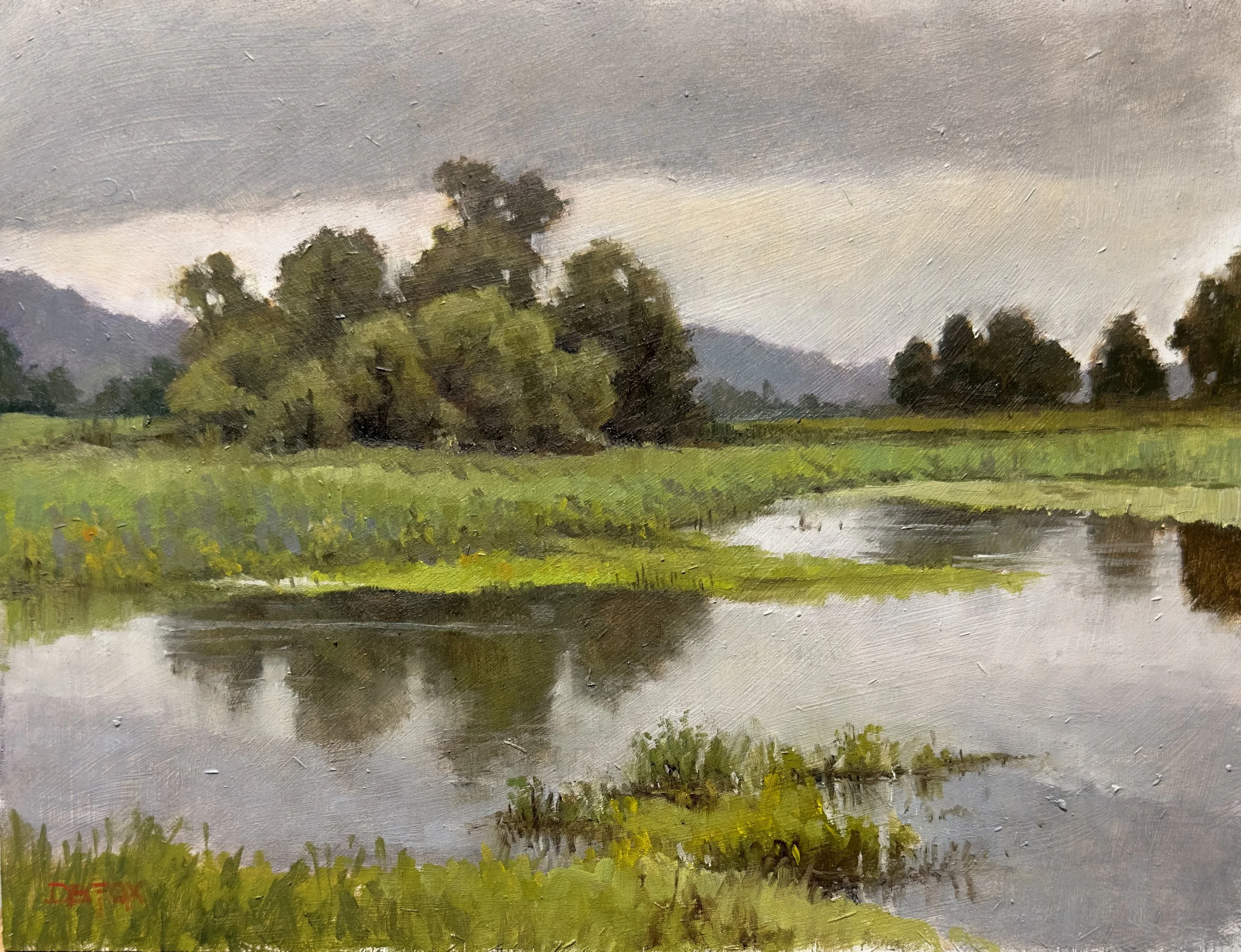 MissouriWetlandsJune.jpg