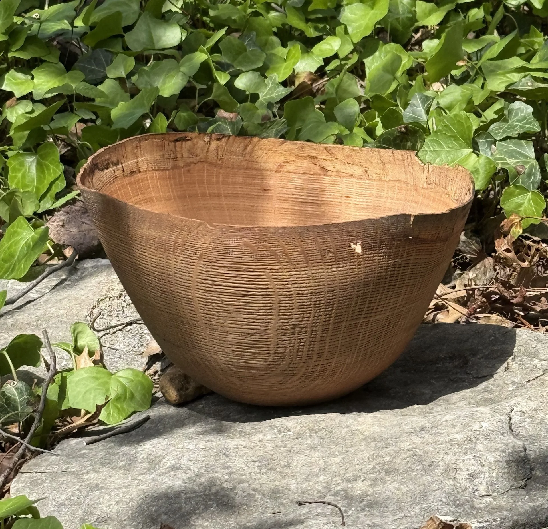 Ernest Hilderbrand, Partial Beibeilong Egg Shell 2.jpg