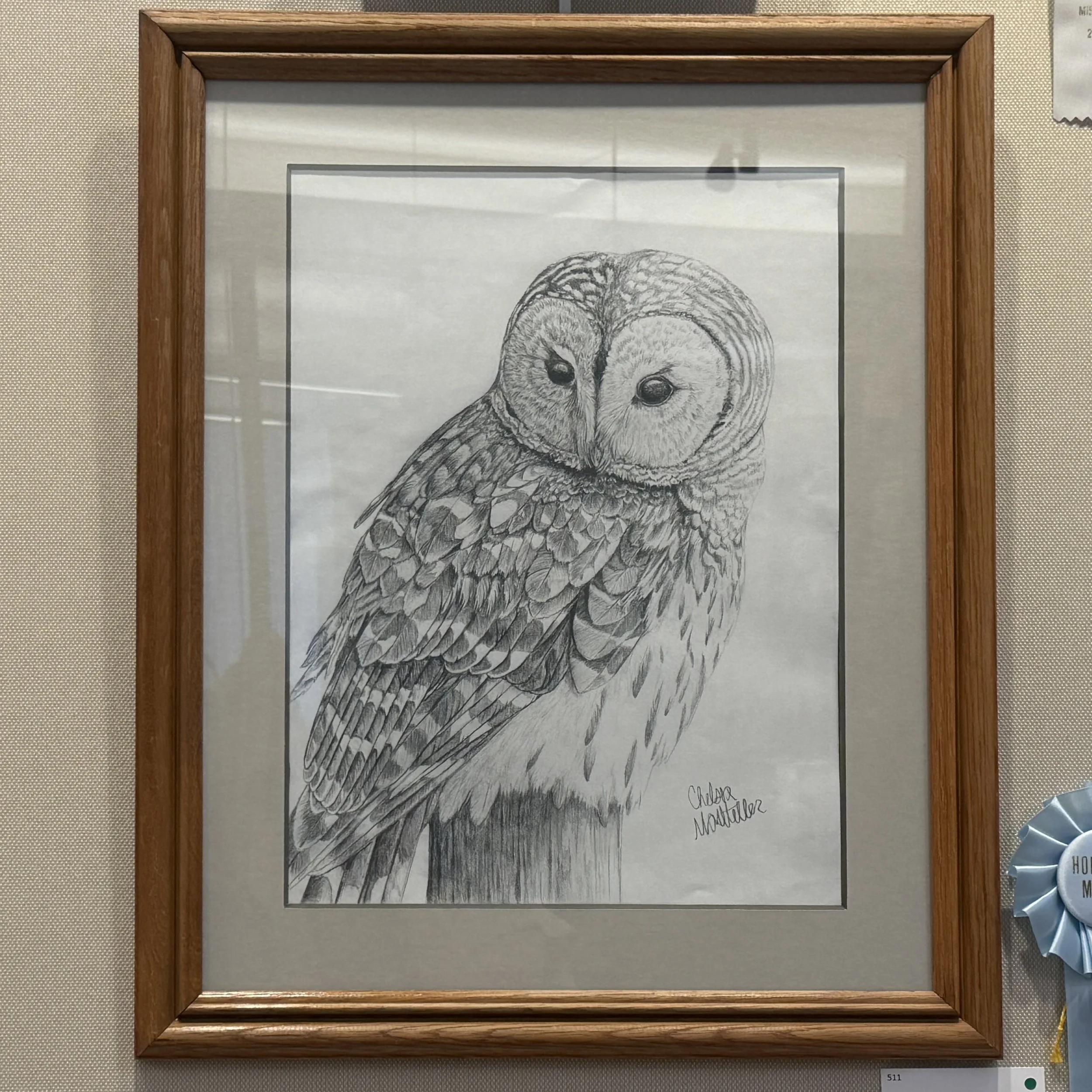 Chelsea Mostellar_Barred Owl_BCAS26.jpg