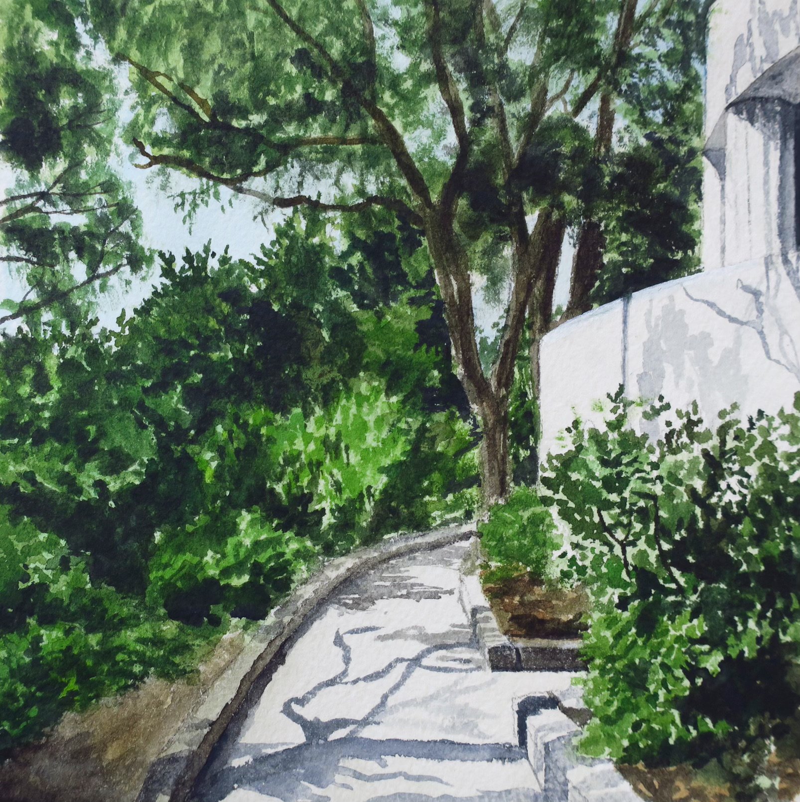landscape3 (1).jpeg