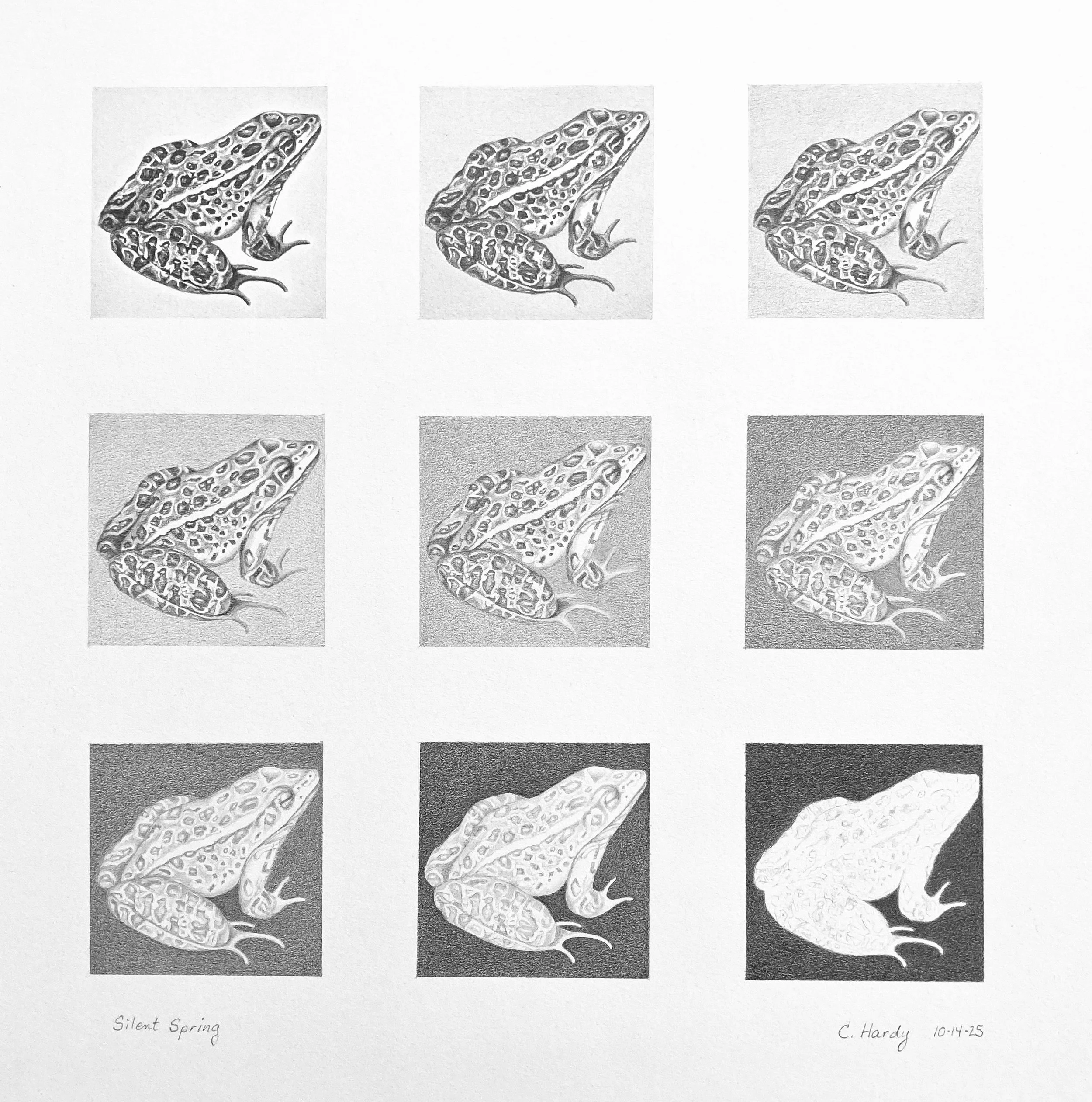 Cheryl Hardy, Silent Spring.jpeg