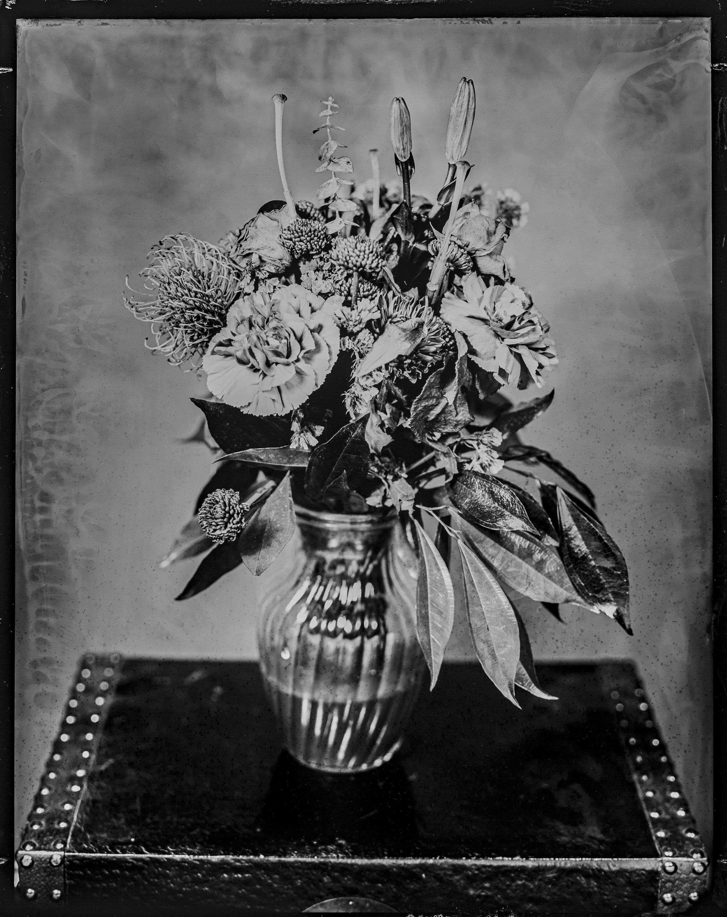 David Lancaster, Back Yard Findings.jpg
