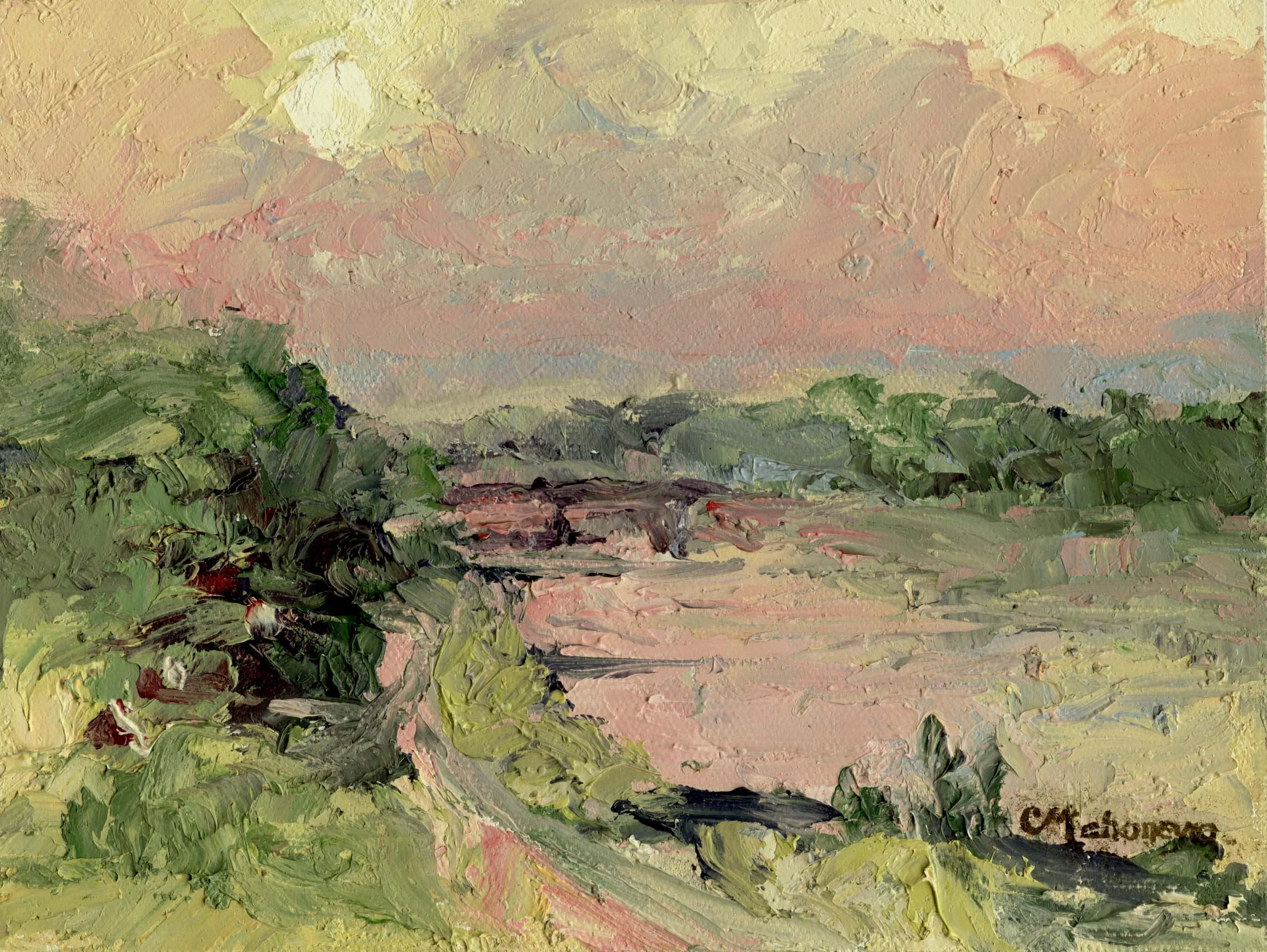 17 Sunset Missouri River V.jpg