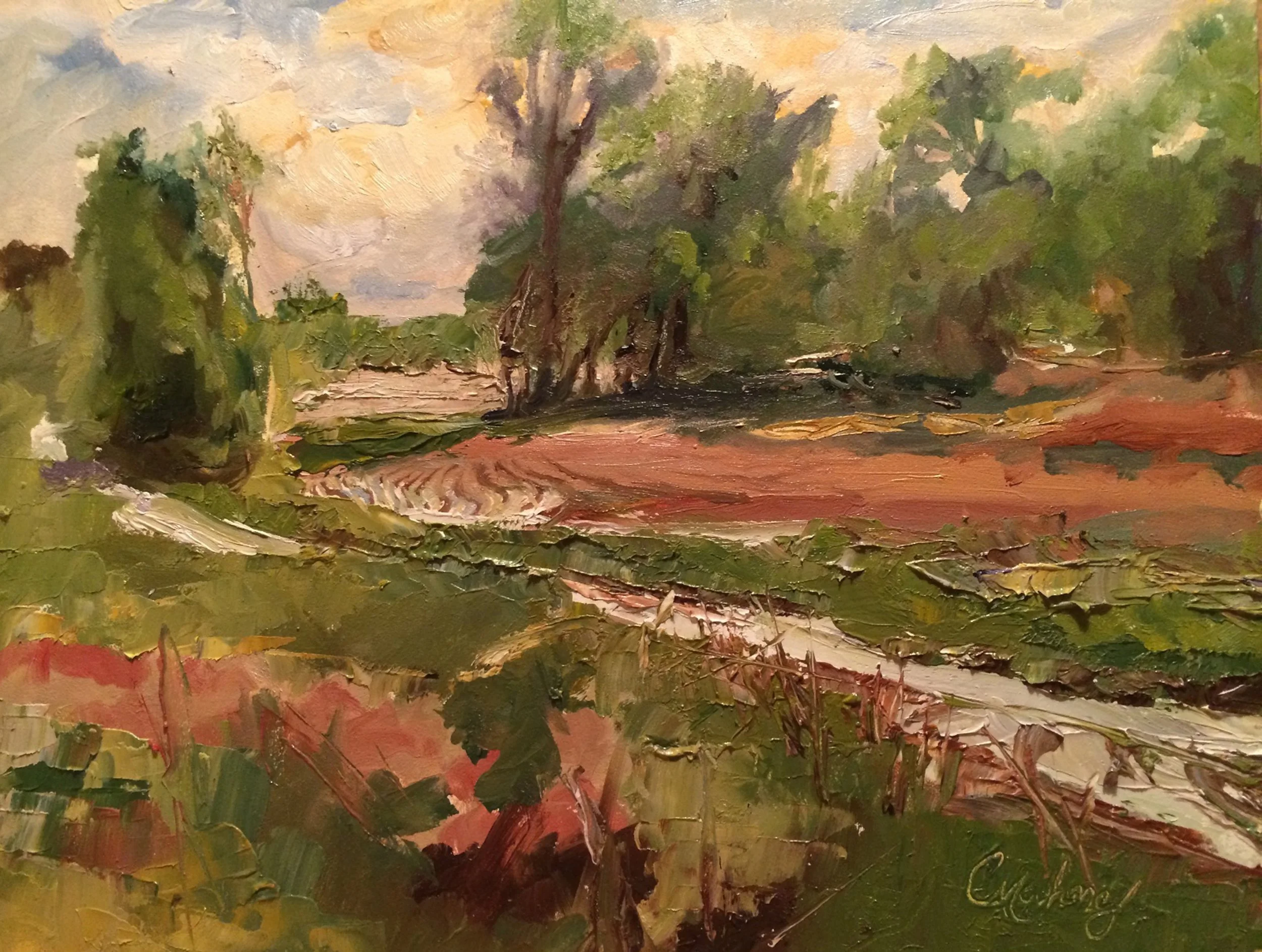 6 After the Rain Storm.jpg