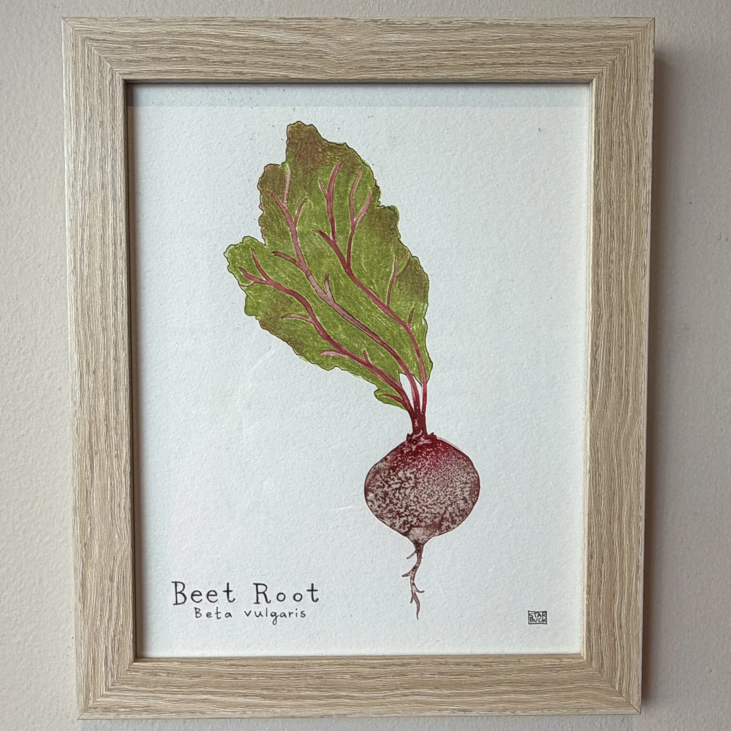 Jessie Starbuck_Beet Root_PP26.jpg