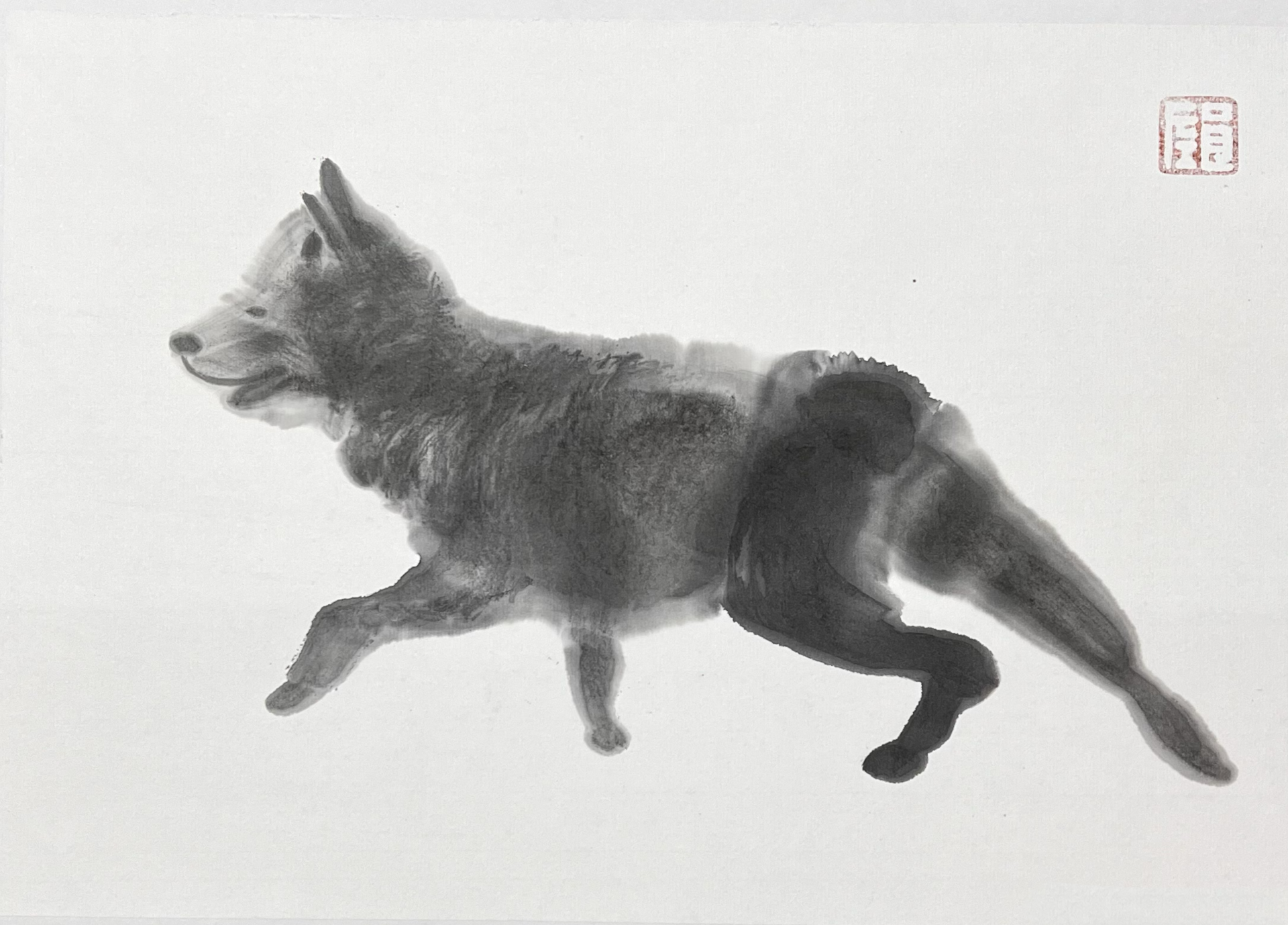 Australia Shepherd .png