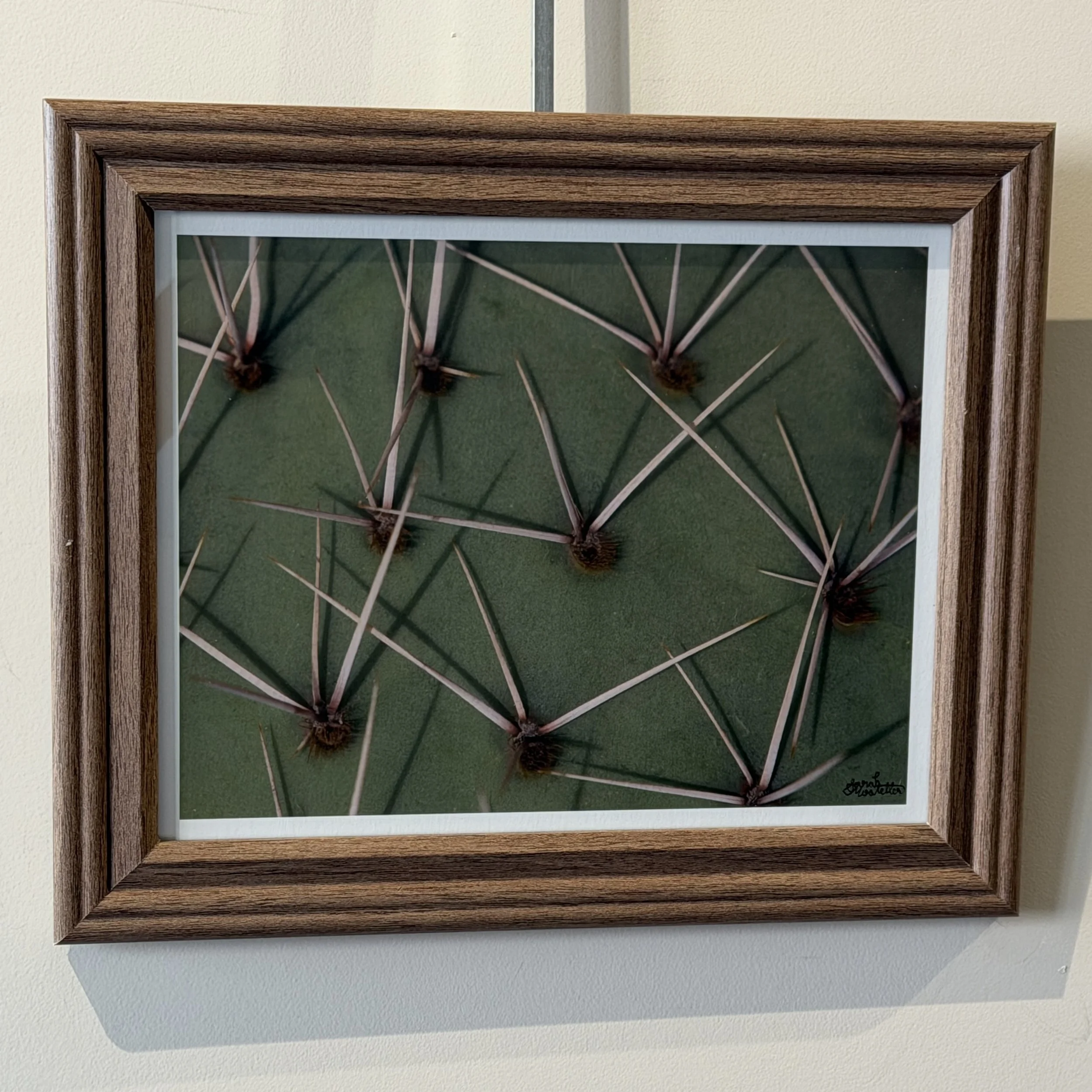 SarahMosteller,PricklyPear.jpg